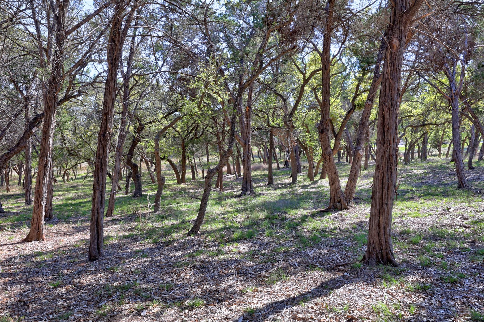 Tbd Moonridge Ln Property Photo 9