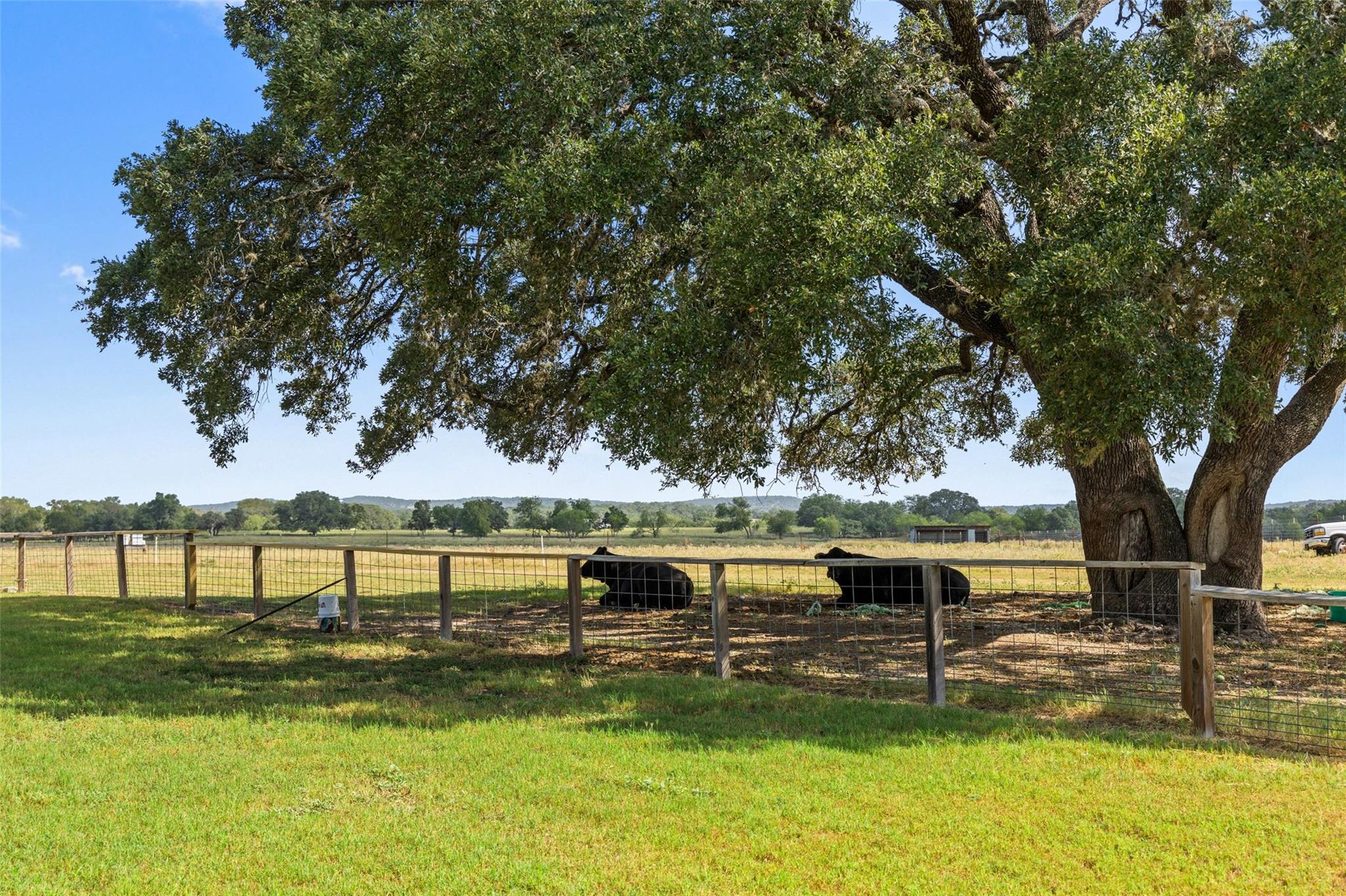 3764 Ranch Road 1623 None Property Photo 27