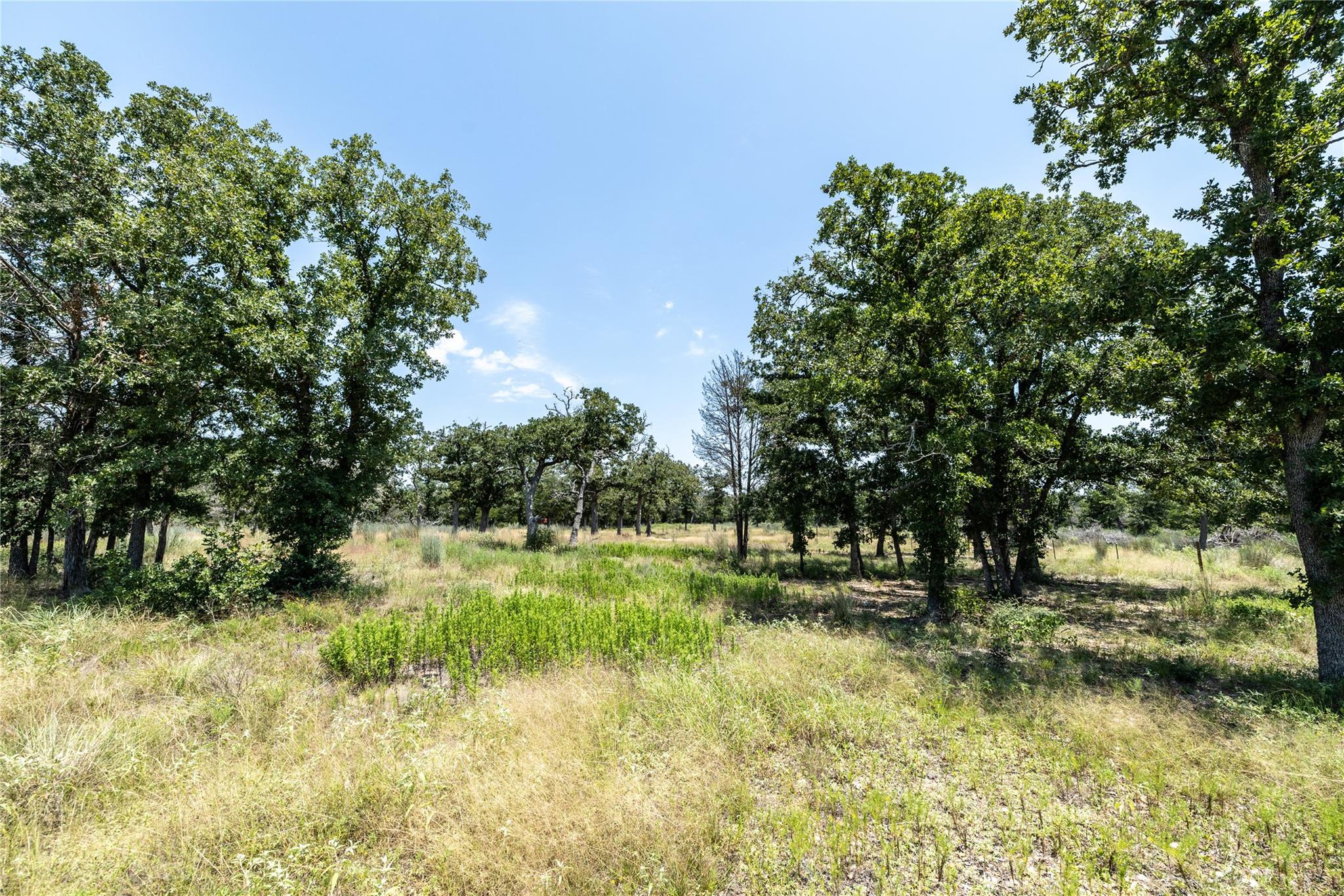 Tract 3 Edgewood Trail Rd Property Photo 3