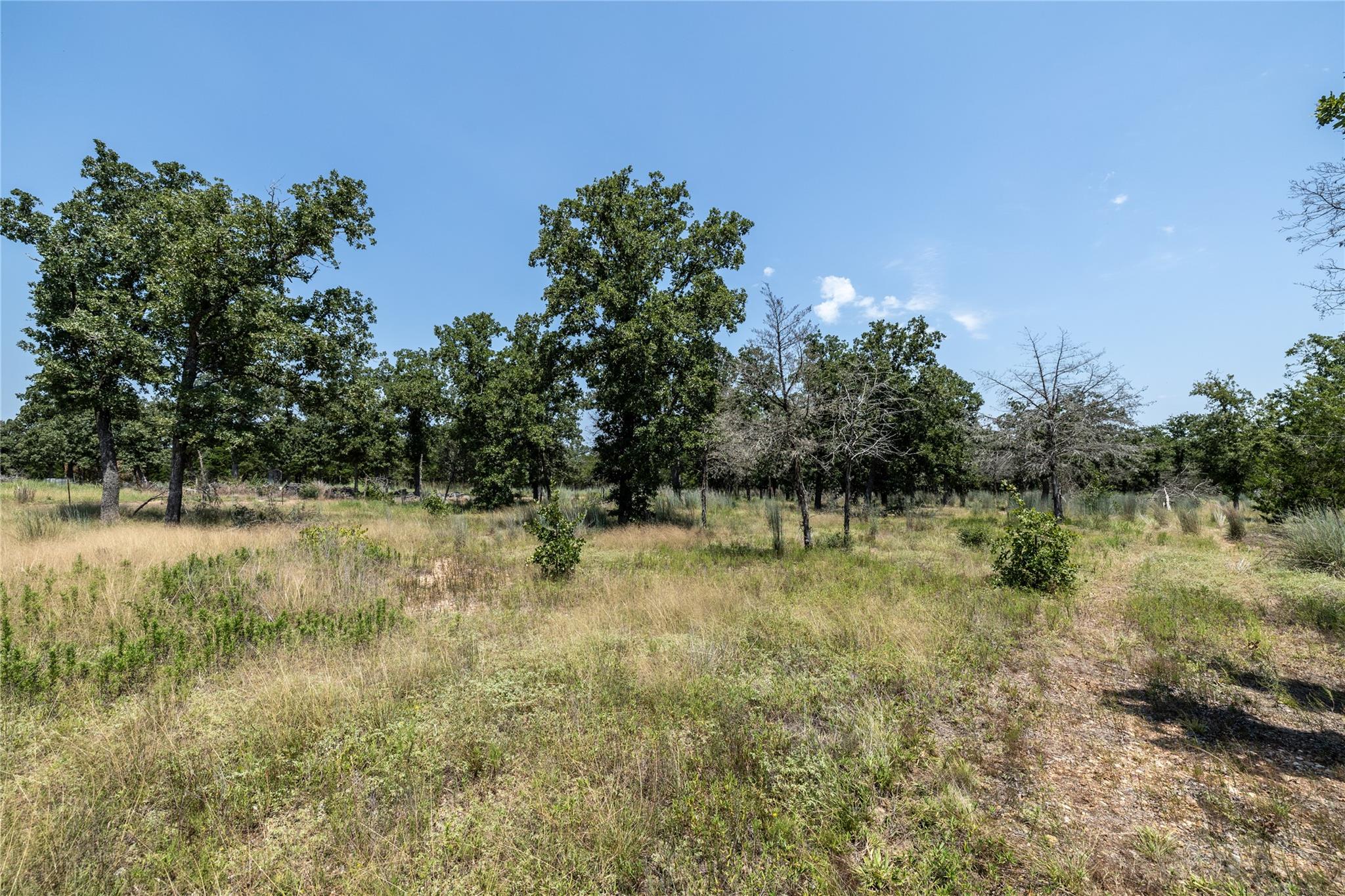 Tract 3 Edgewood Trail Rd Property Photo 4