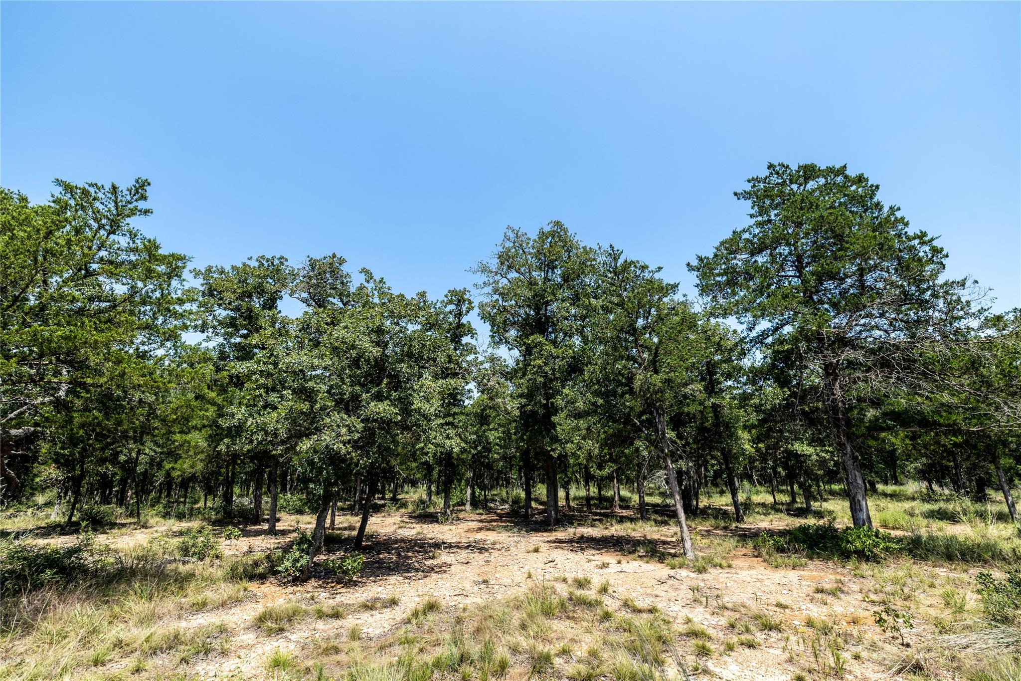 Tract 3 Edgewood Trail Rd Property Photo 11