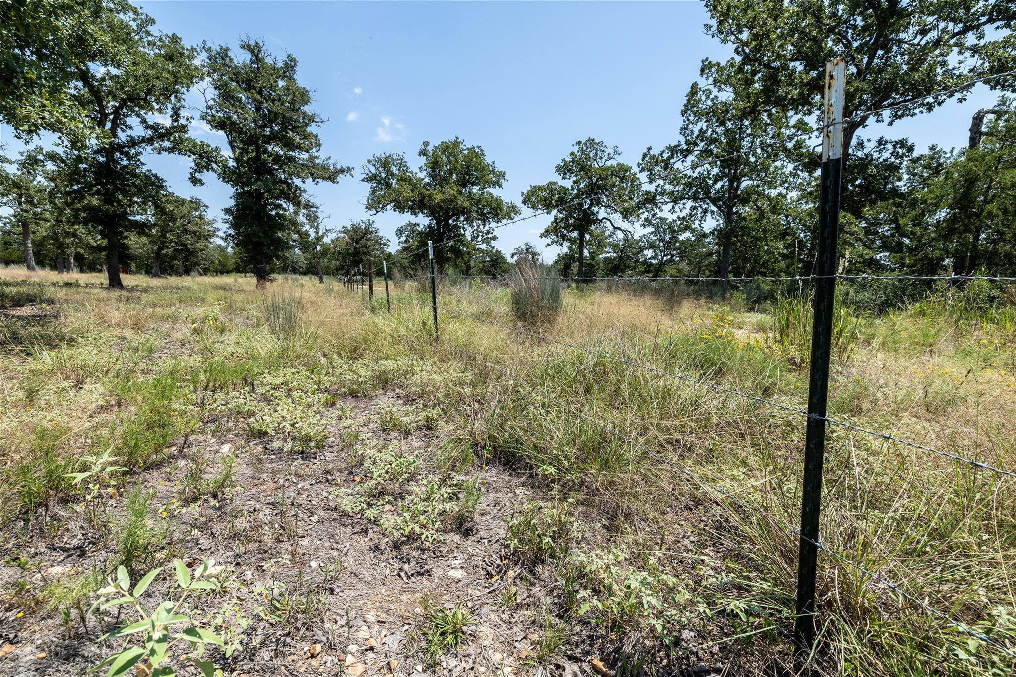 Tract 3 Edgewood Trail Rd Property Photo 18