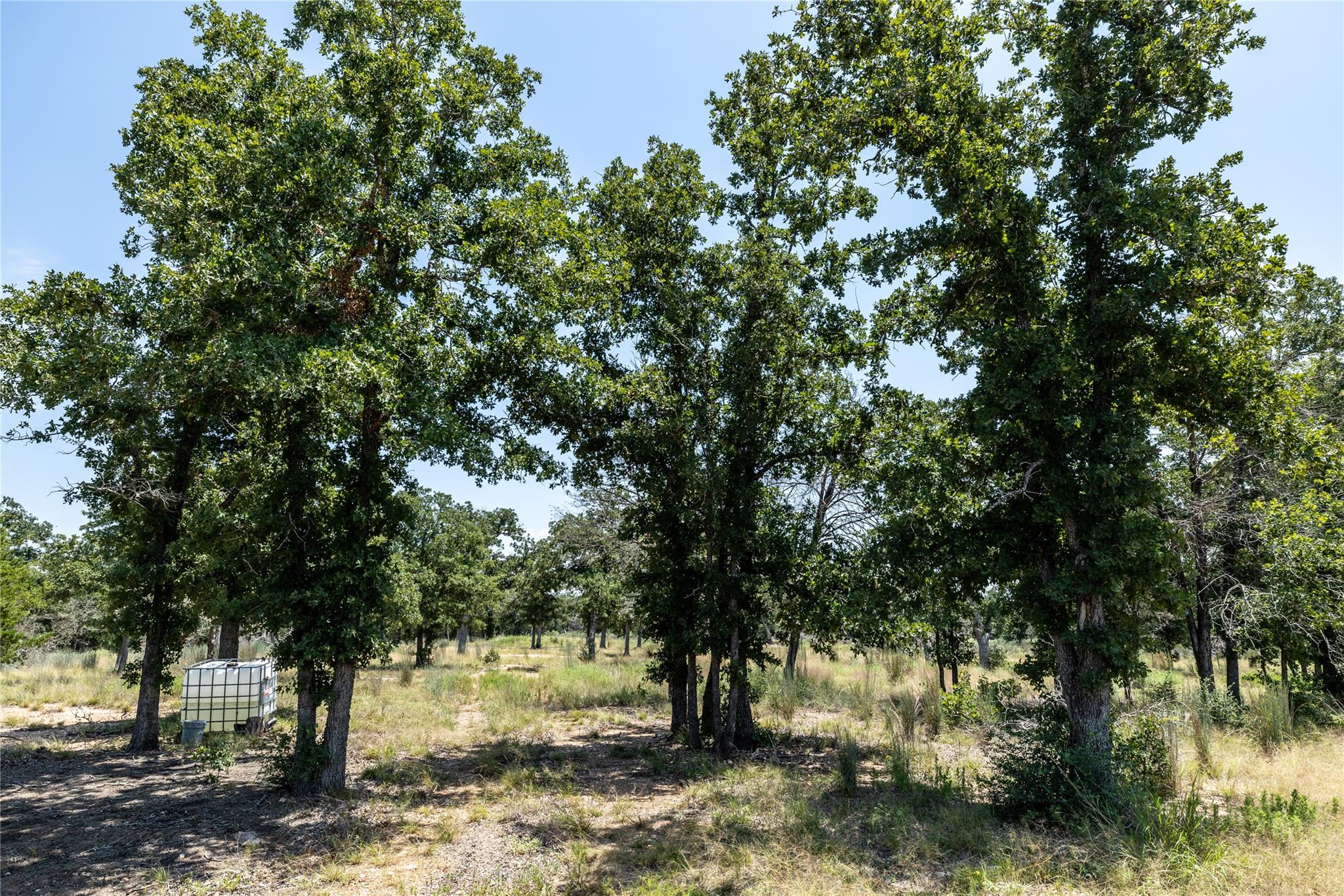 Tract 3 Edgewood Trail Rd Property Photo 19