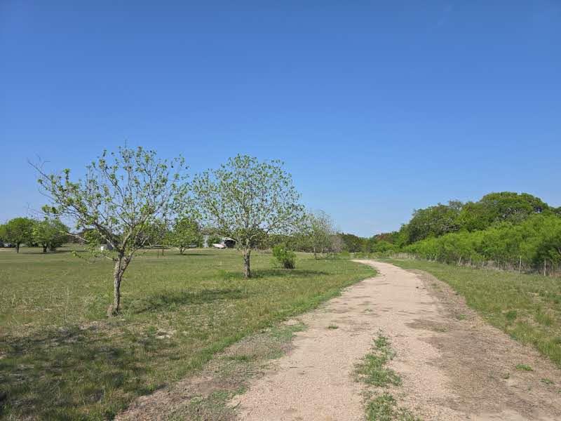 1215 County Road 340 Property Photo 4