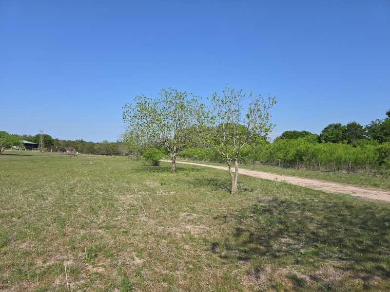 1215 County Road 340 Property Photo 5
