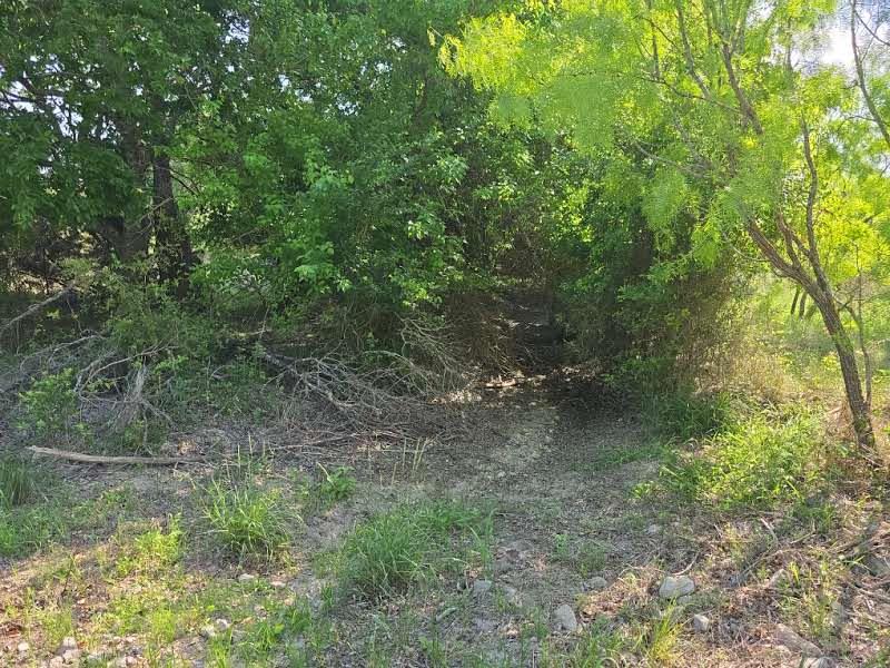 1215 County Road 340 Property Photo 10