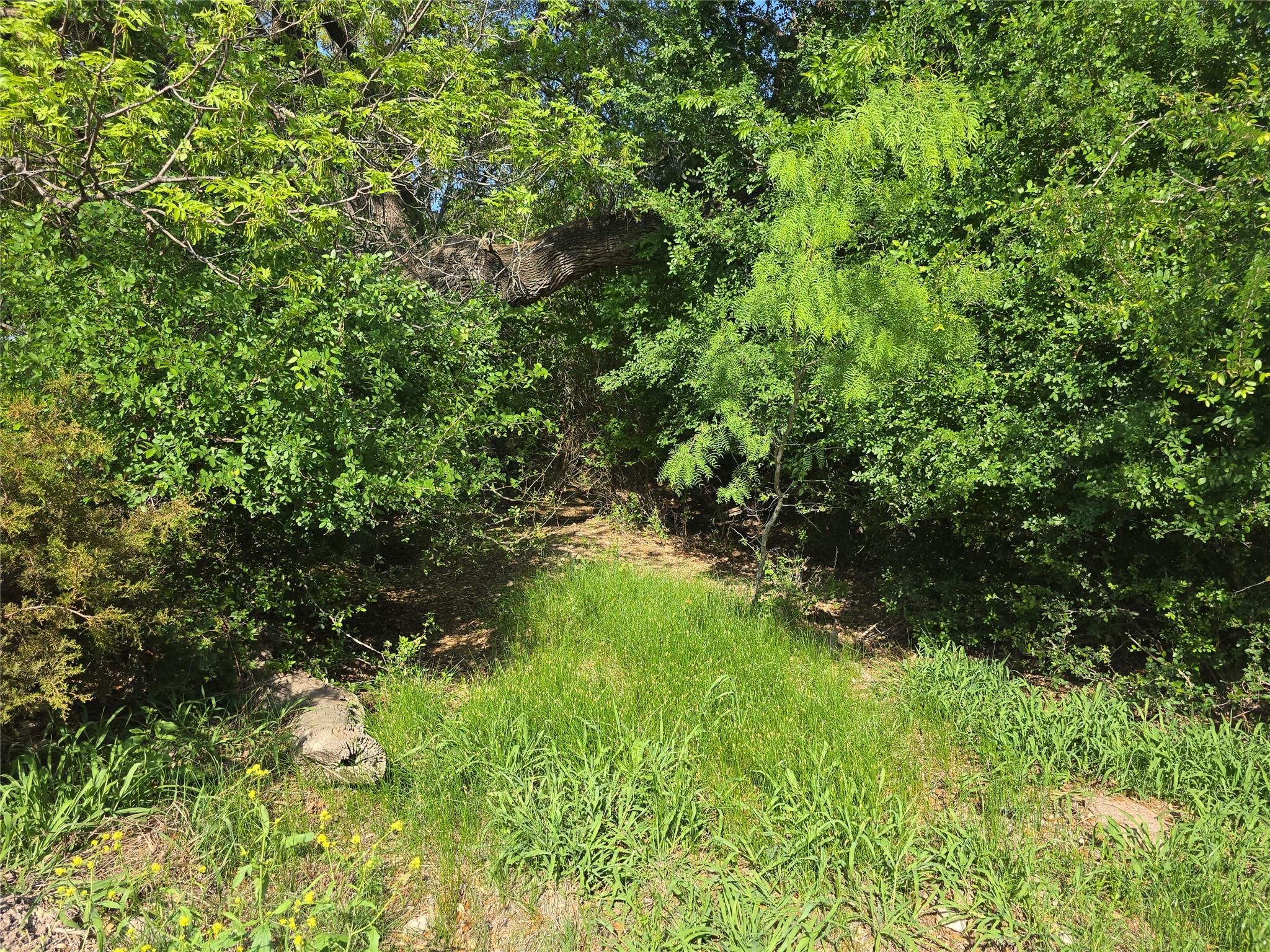 1215 County Road 340 Property Photo 11