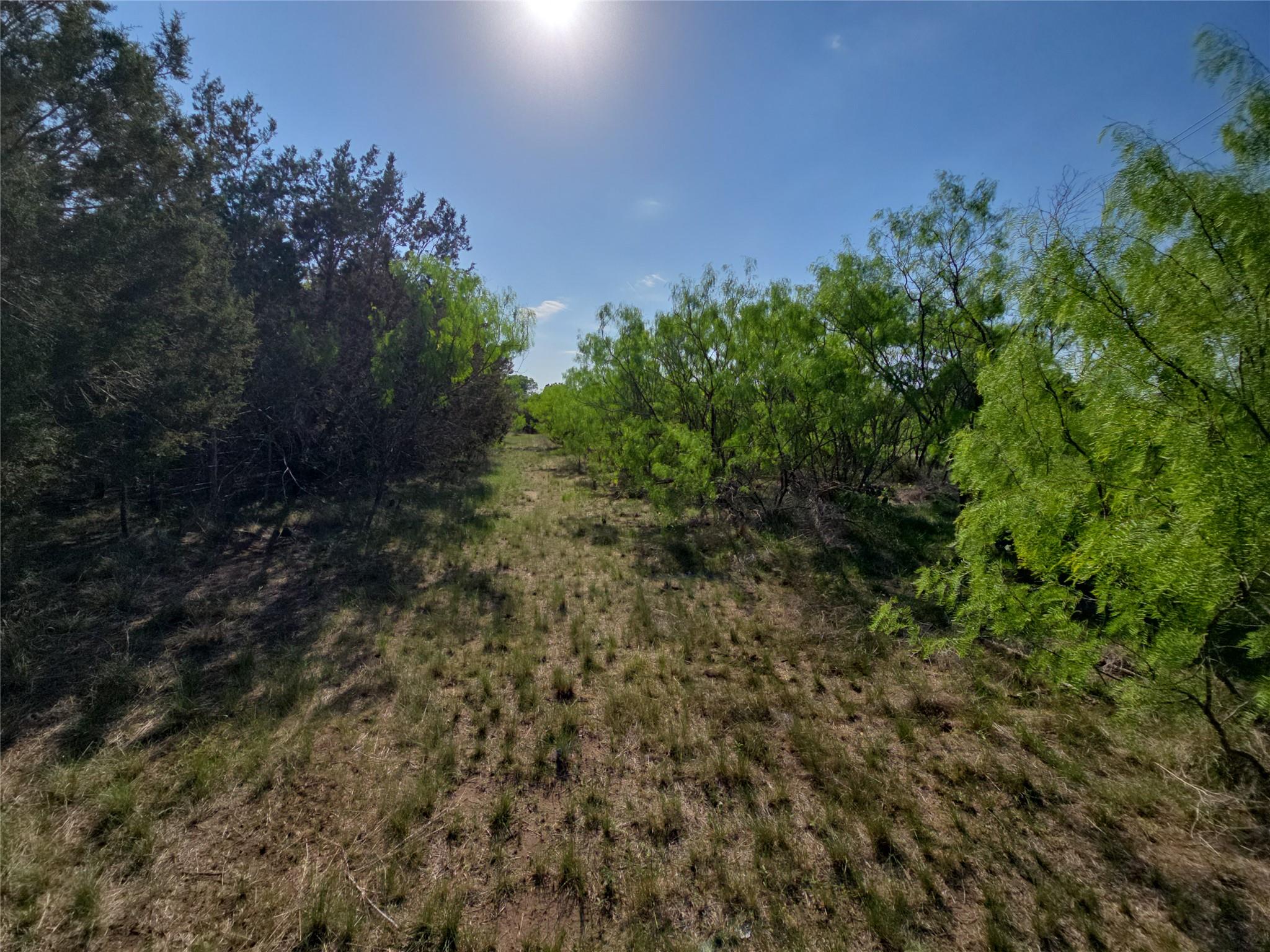 1215 County Road 340 Property Photo 25