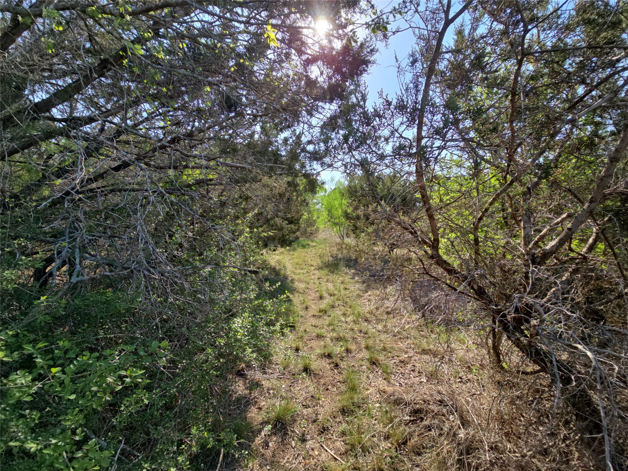 1215 County Road 340 Property Photo 28