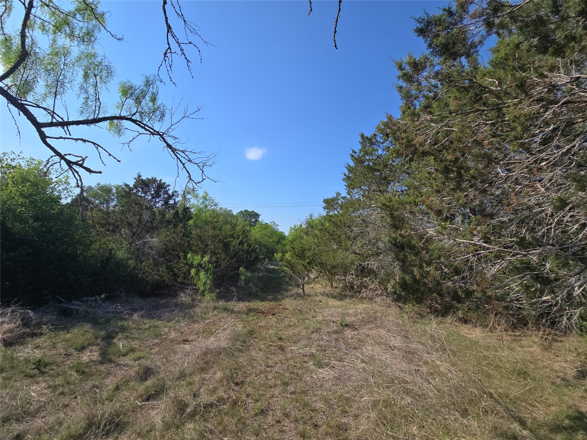 1215 County Road 340 Property Photo 30