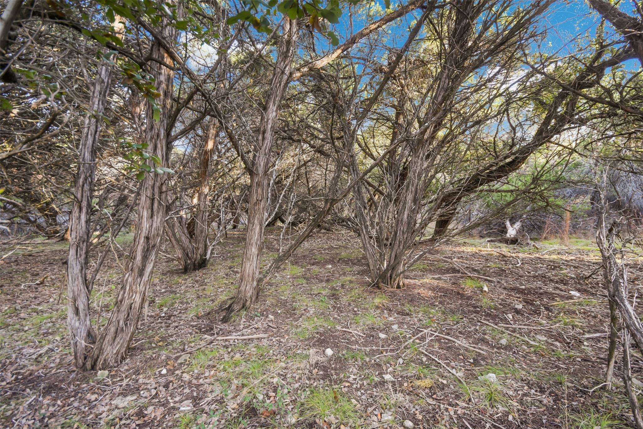 22319 Nameless Rd Property Photo 18