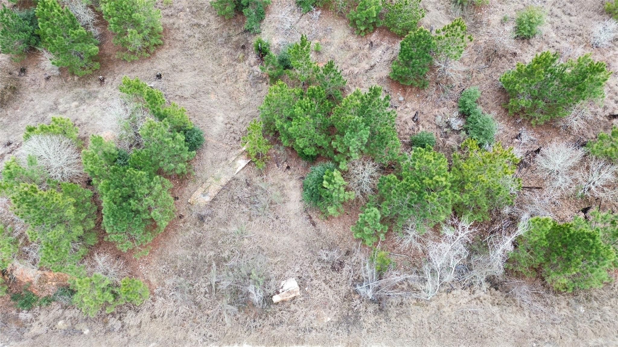 Lot 173 / R32210 Keo Kea Ct Property Photo 3