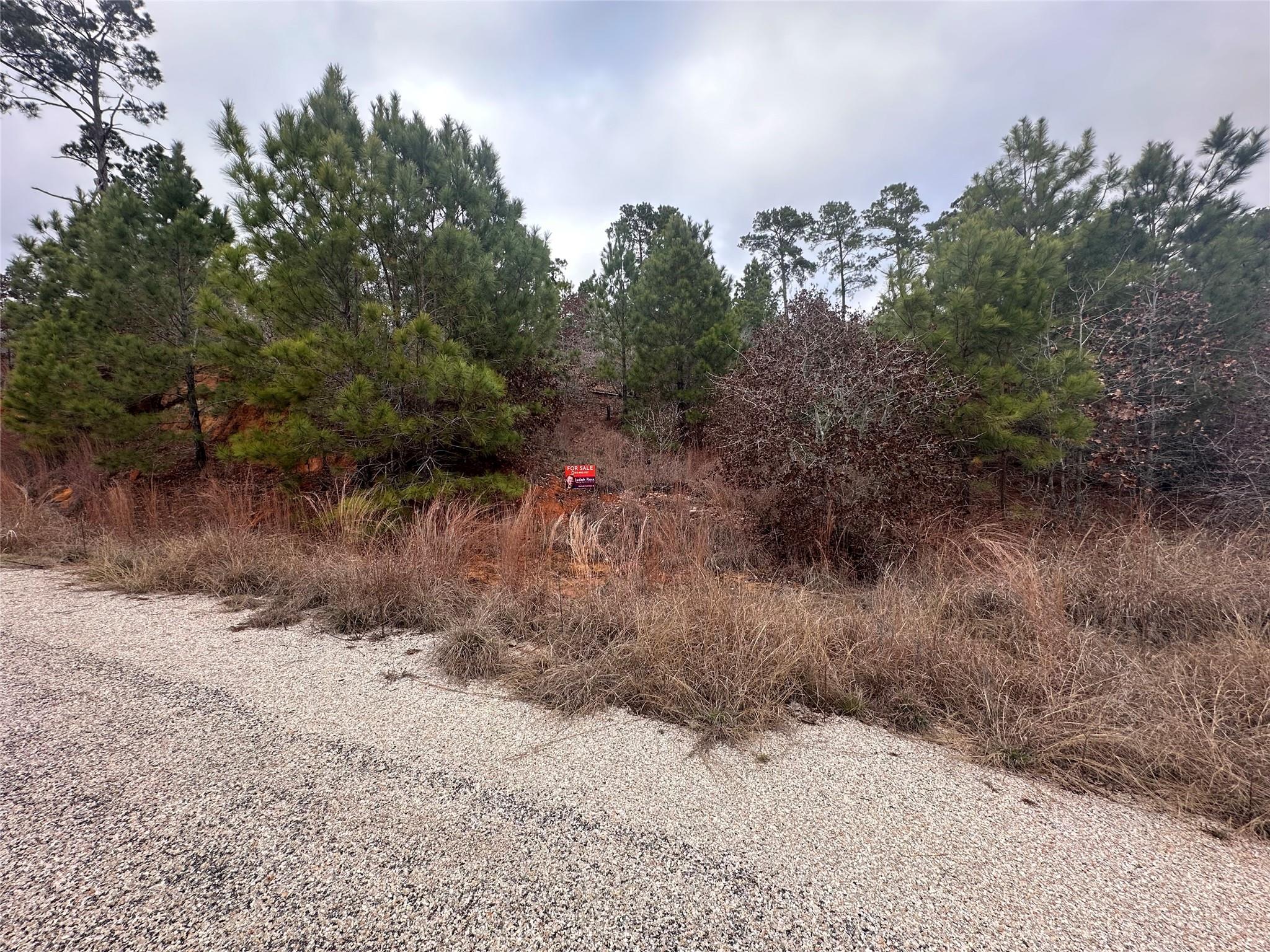 Lot 173 / R32210 Keo Kea Ct Property Photo 4