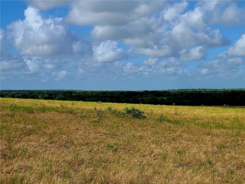 Tbd 89 Acres County Rd 446 Property Photo 3