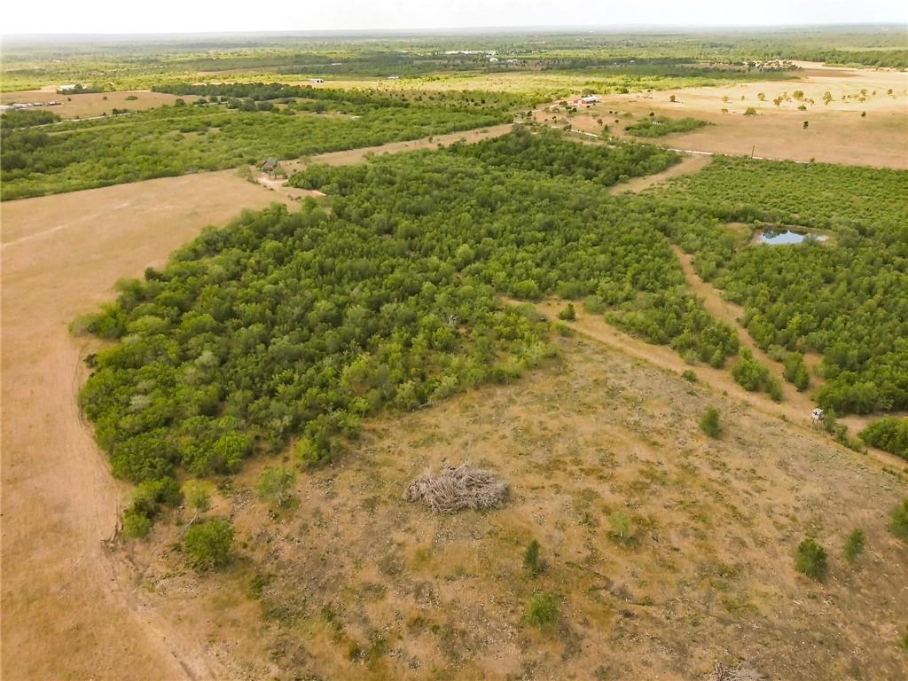 Tbd 89 Acres County Rd 446 Property Photo 4