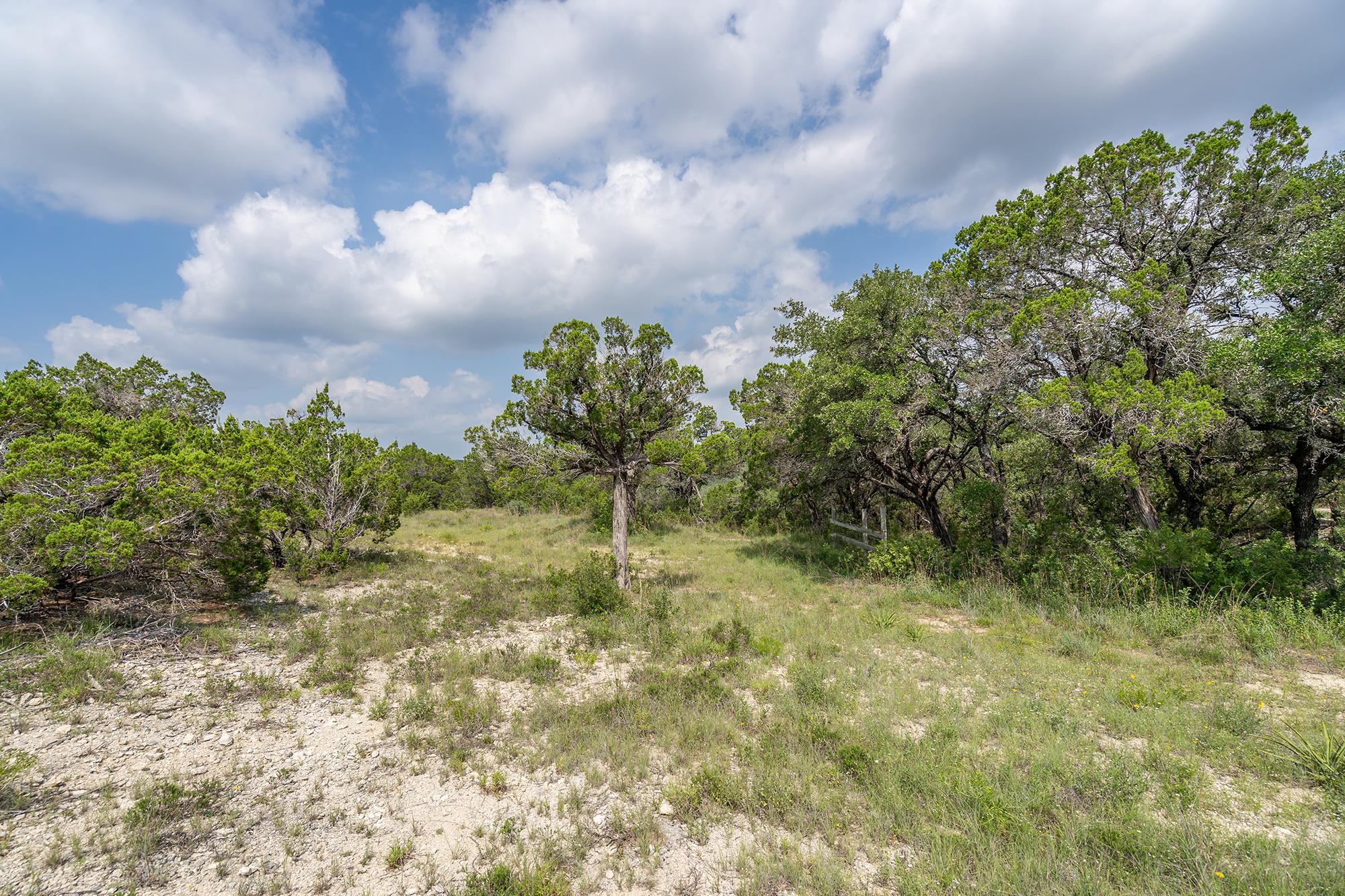 19705 Tyler Trl Property Photo 2