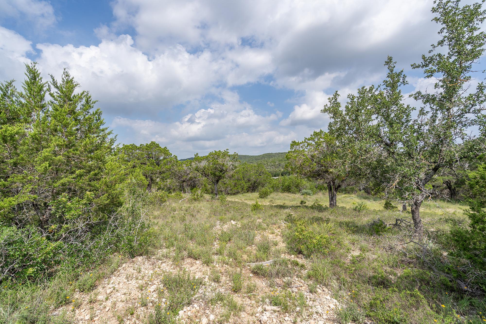 19705 Tyler Trl Property Photo 3