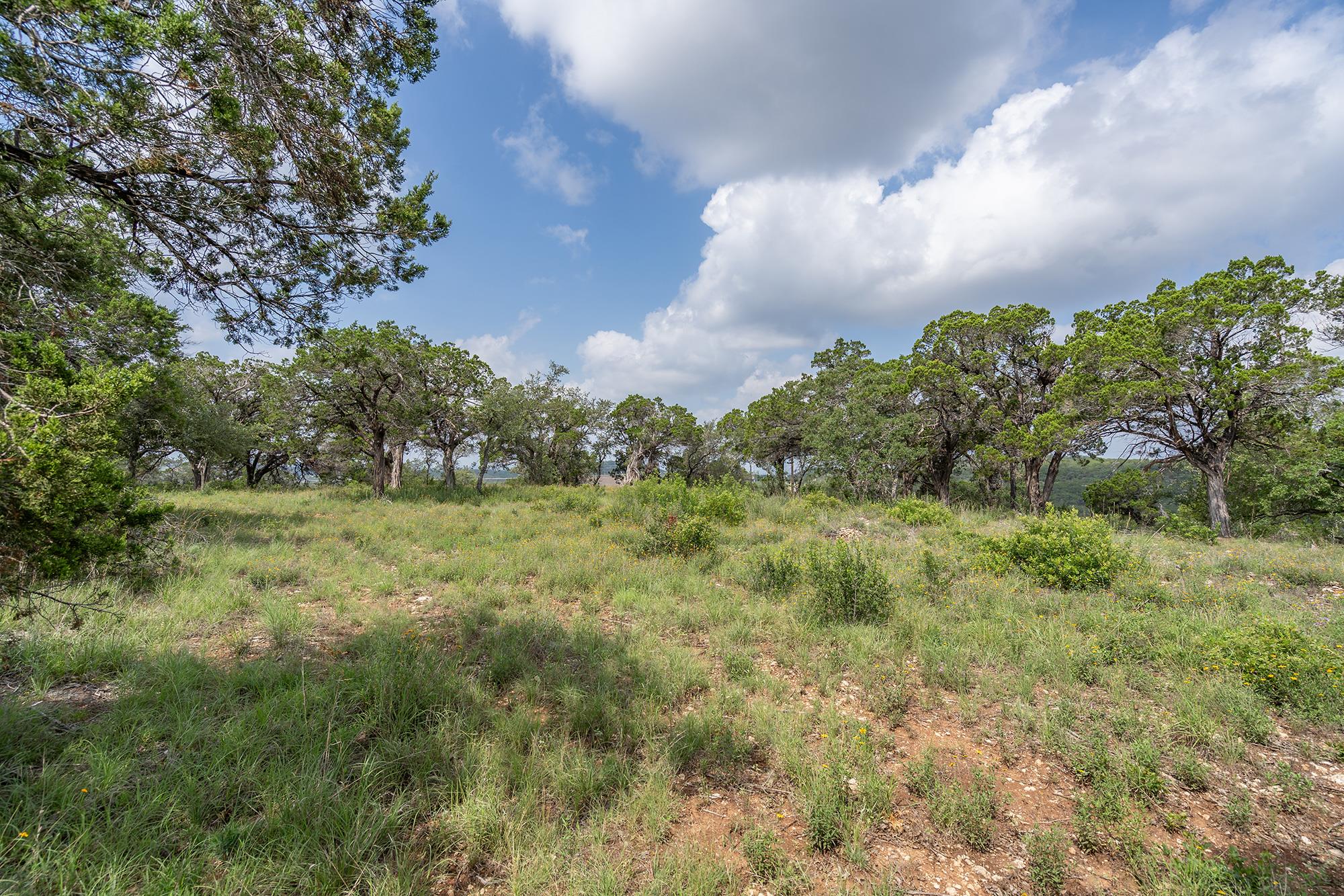 19705 Tyler Trl Property Photo 6
