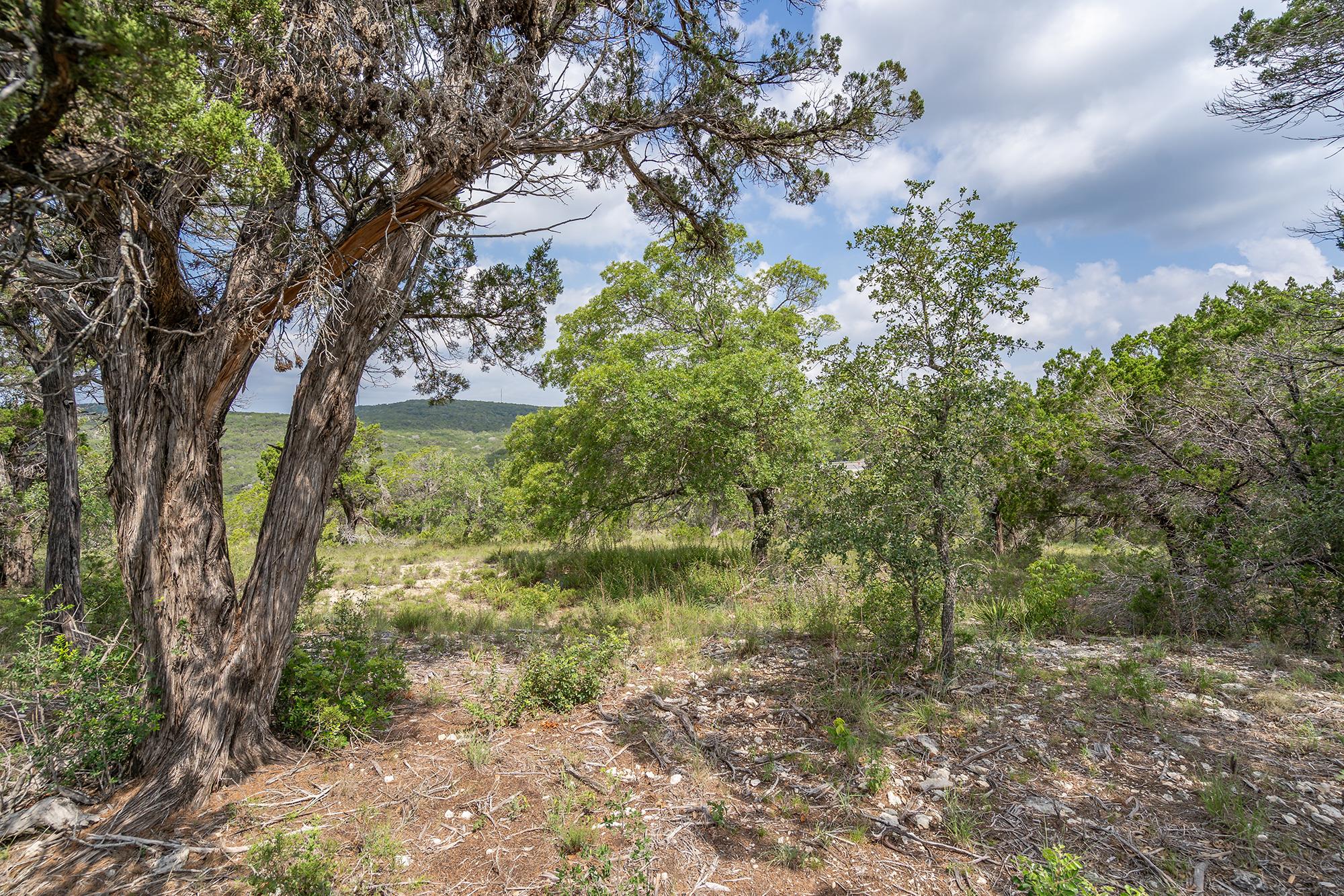 19705 Tyler Trl Property Photo 8