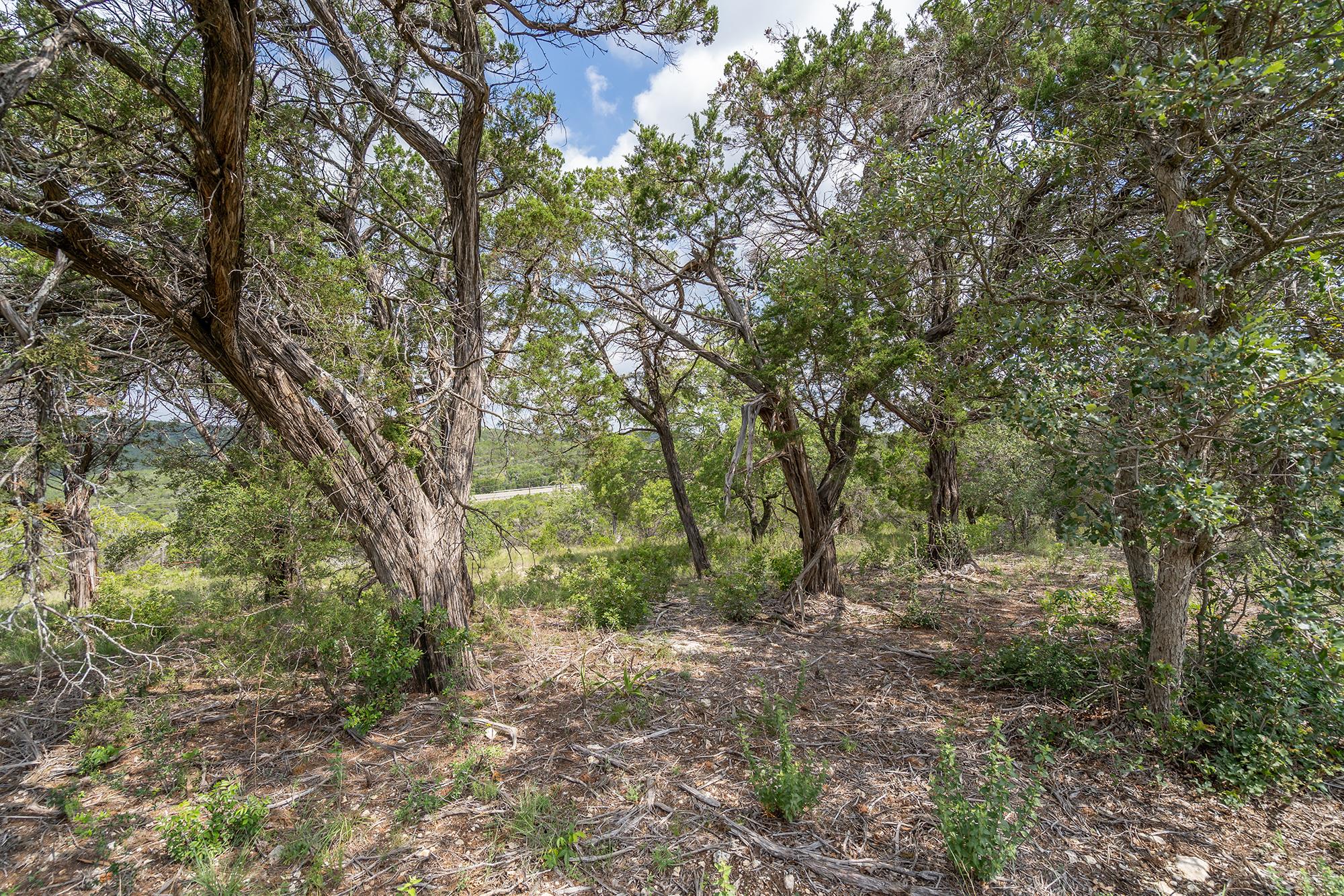 19705 Tyler Trl Property Photo 9