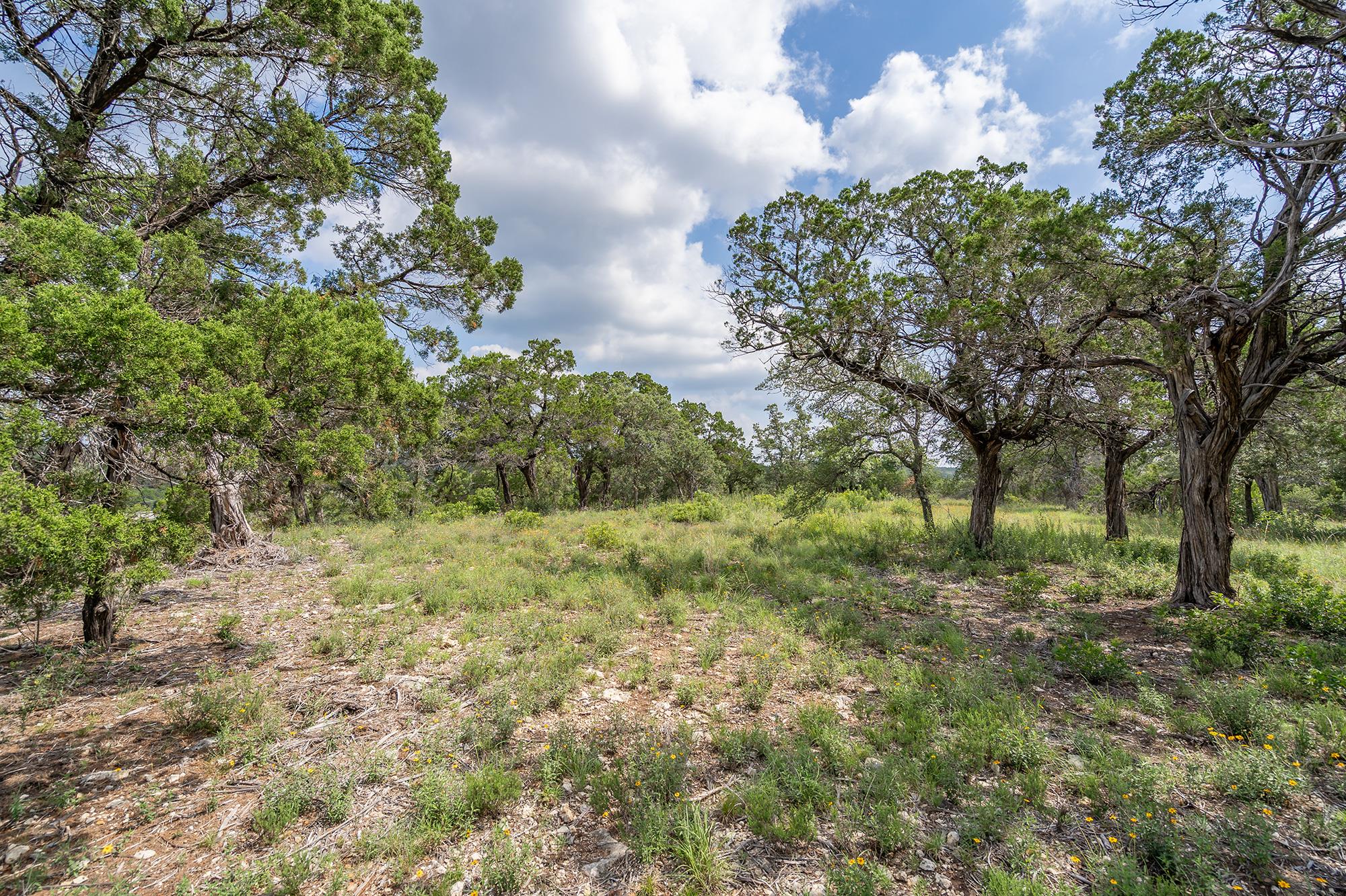 19705 Tyler Trl Property Photo 11