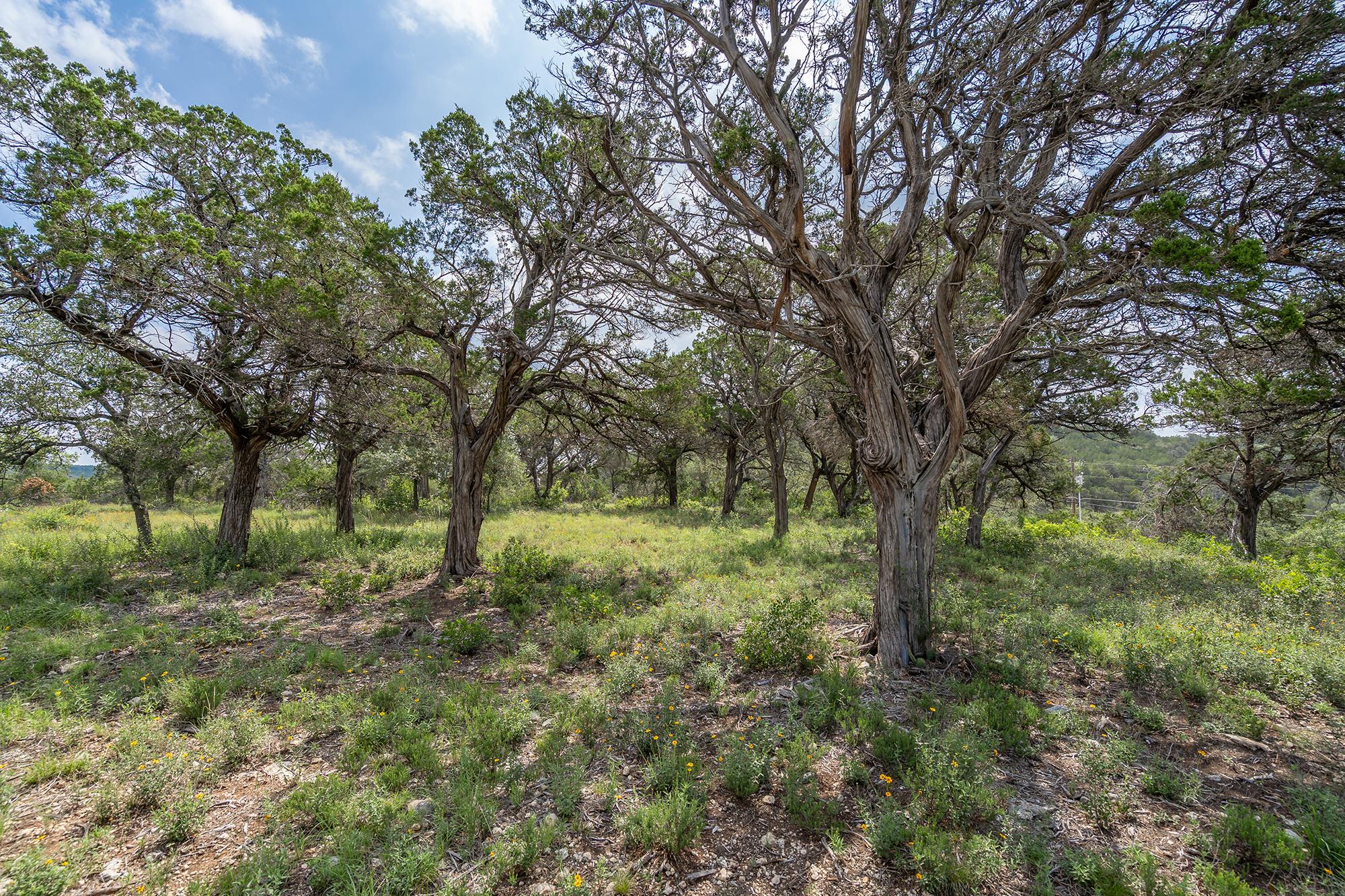 19705 Tyler Trl Property Photo 12