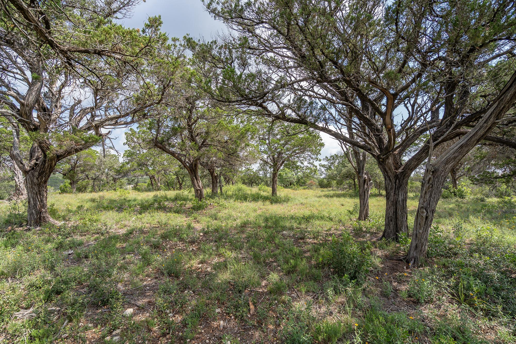 19705 Tyler Trl Property Photo 13