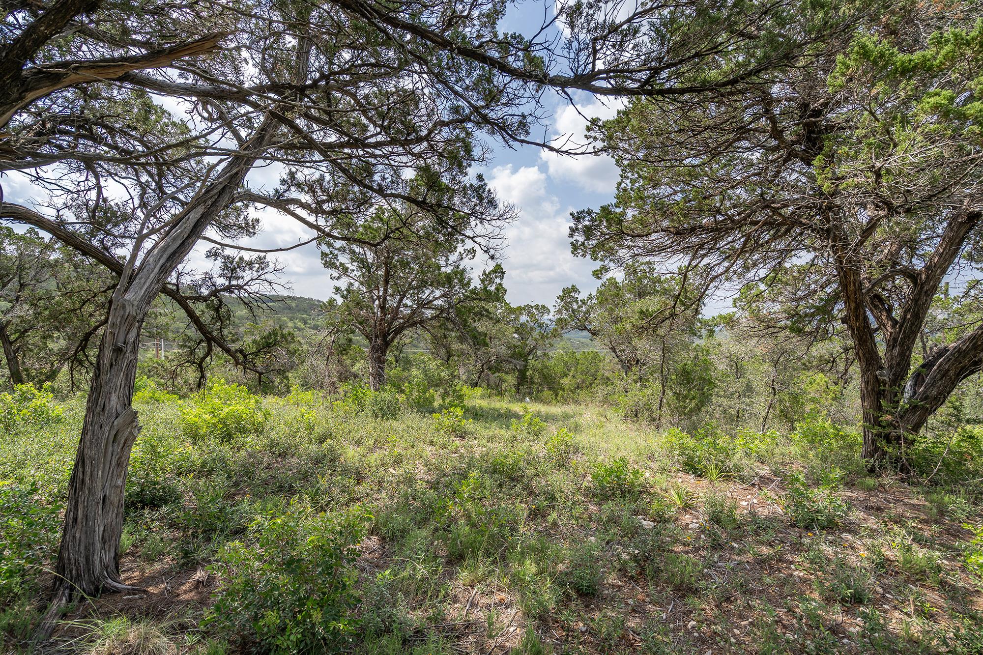 19705 Tyler Trl Property Photo 14