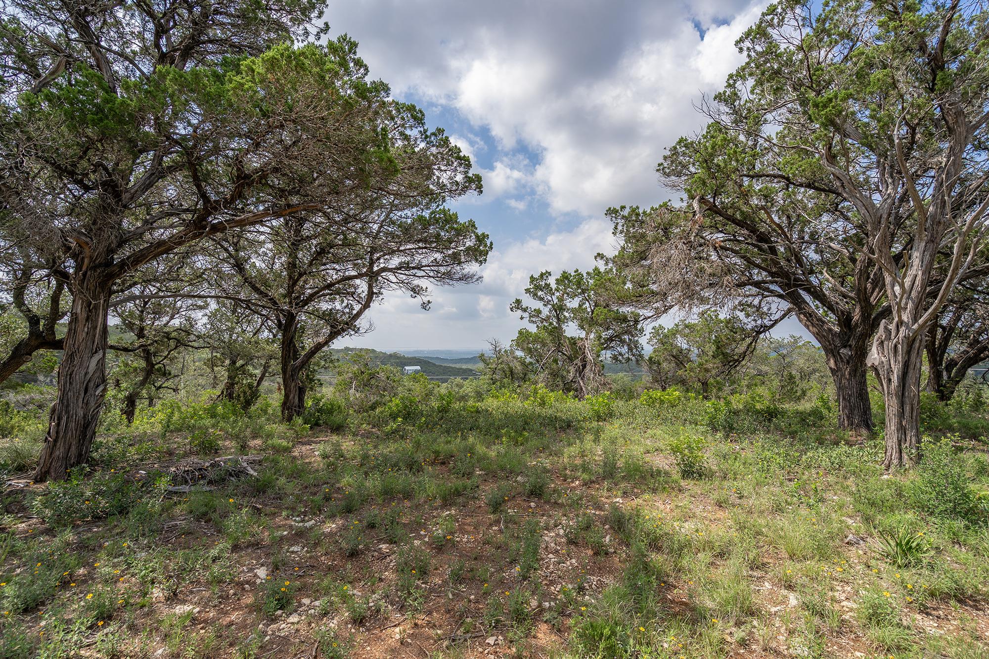 19705 Tyler Trl Property Photo 16