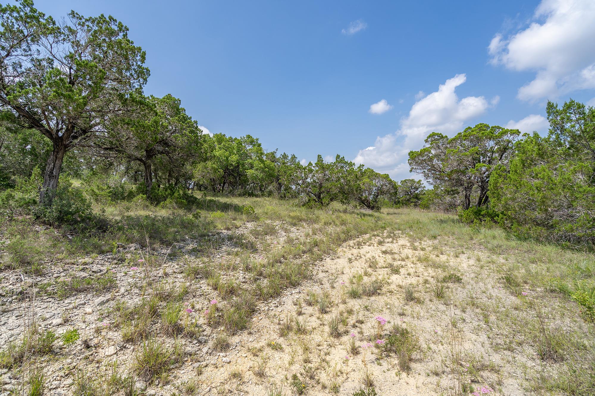 19705 Tyler Trl Property Photo 22
