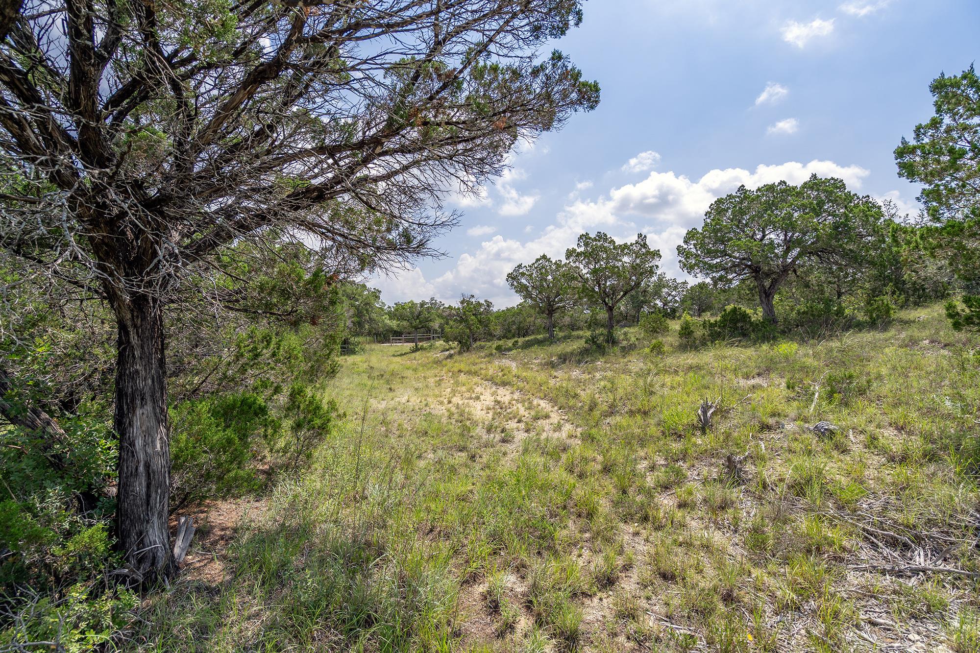 19705 Tyler Trl Property Photo 24