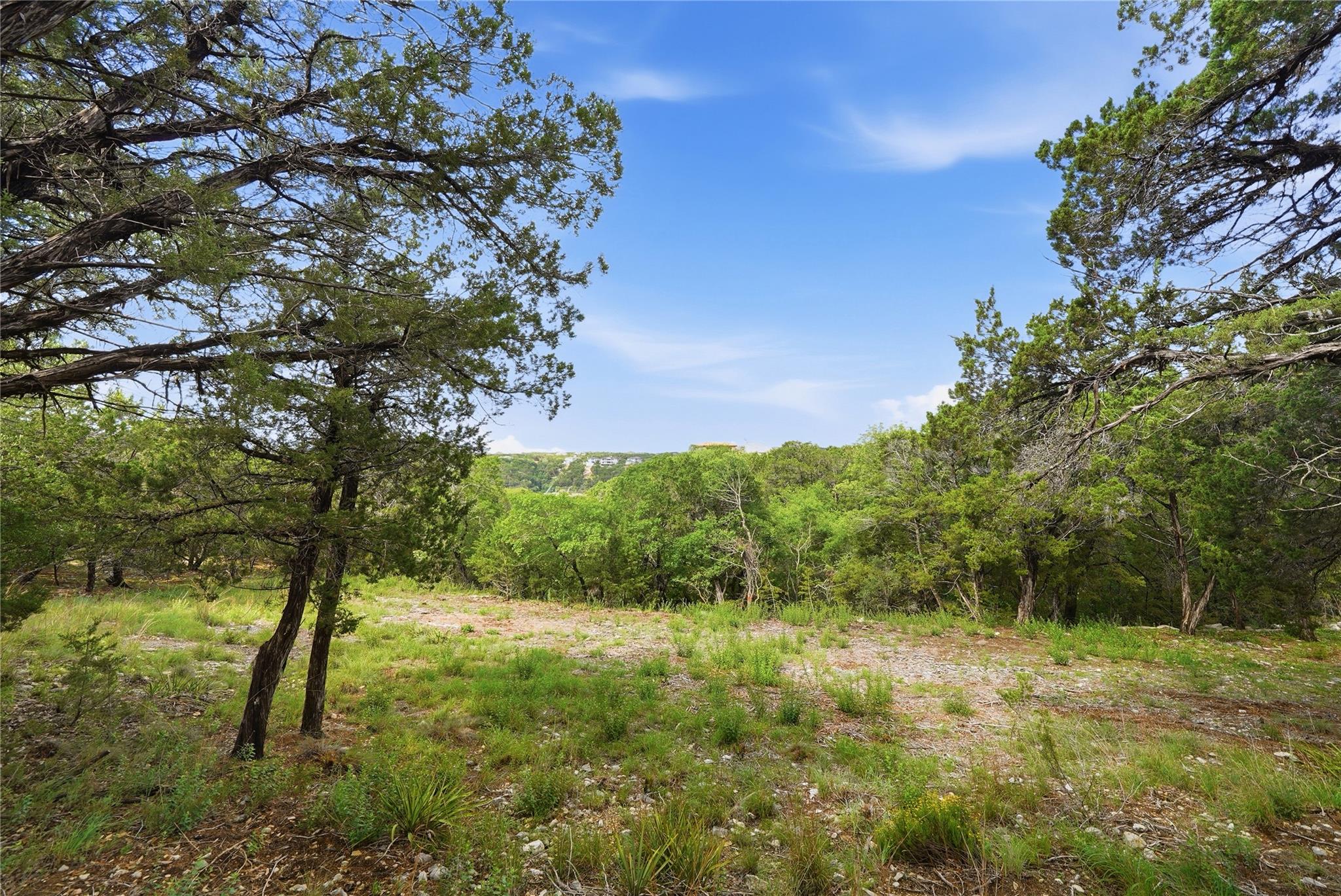 7301 Matisse Pointe Dr Property Photo 8