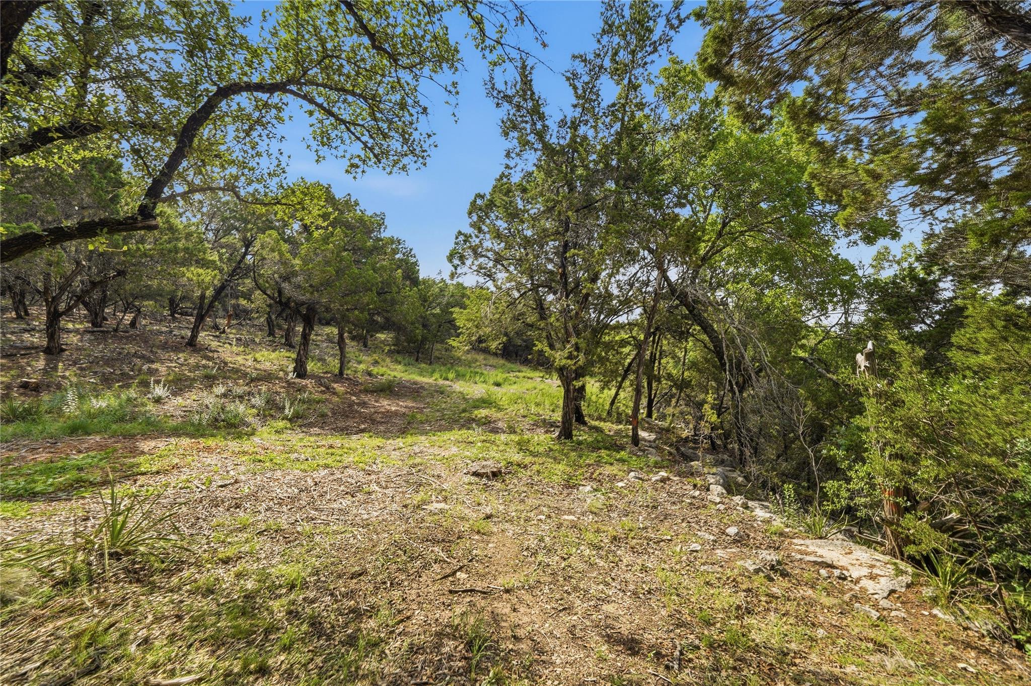 7301 Matisse Pointe Dr Property Photo 9