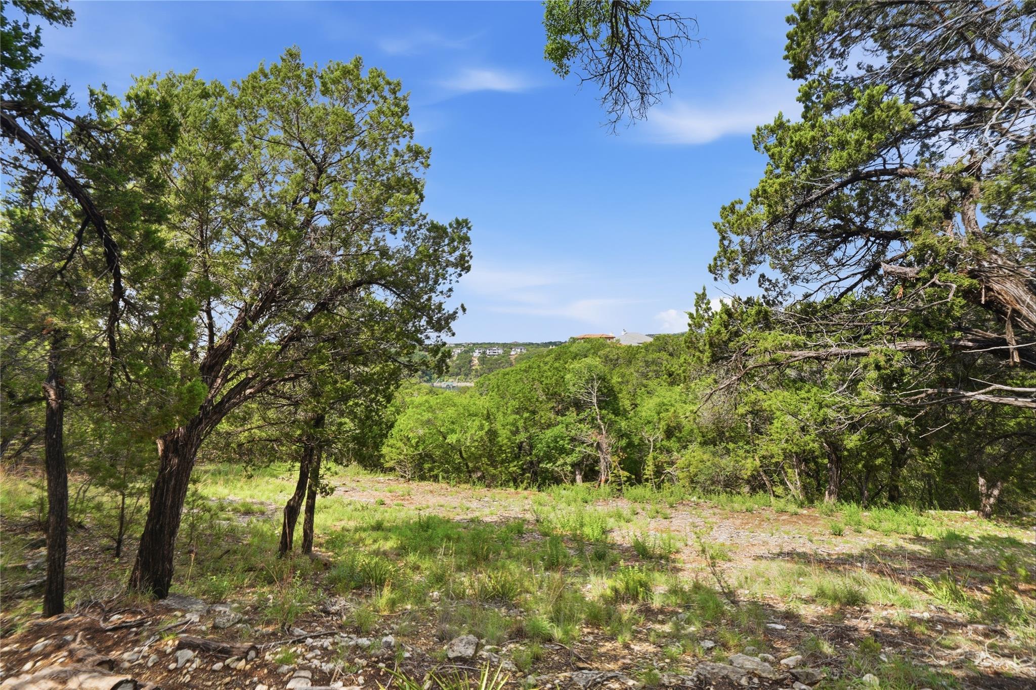 7301 Matisse Pointe Dr Property Photo 10