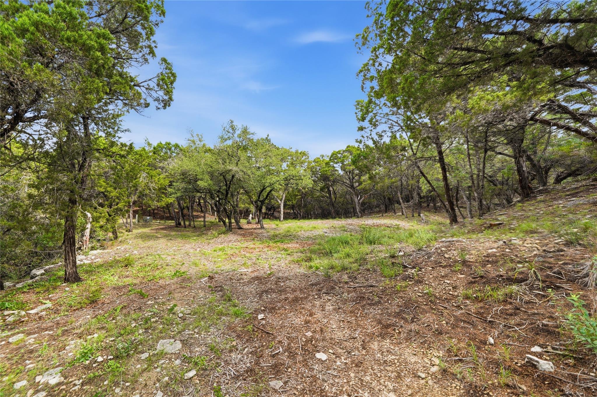 7301 Matisse Pointe Dr Property Photo 14