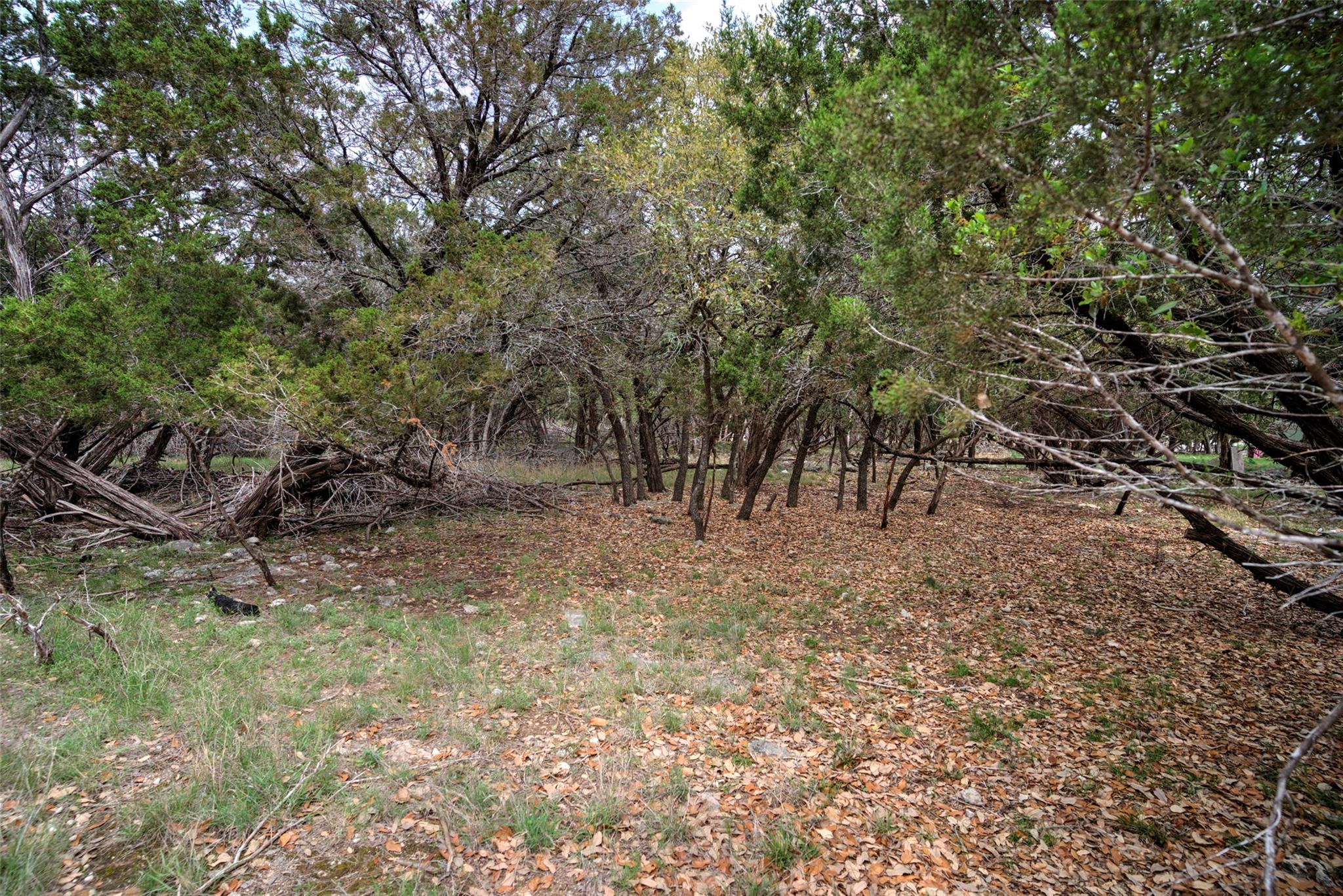 15920 Charlya Dr Property Photo 3