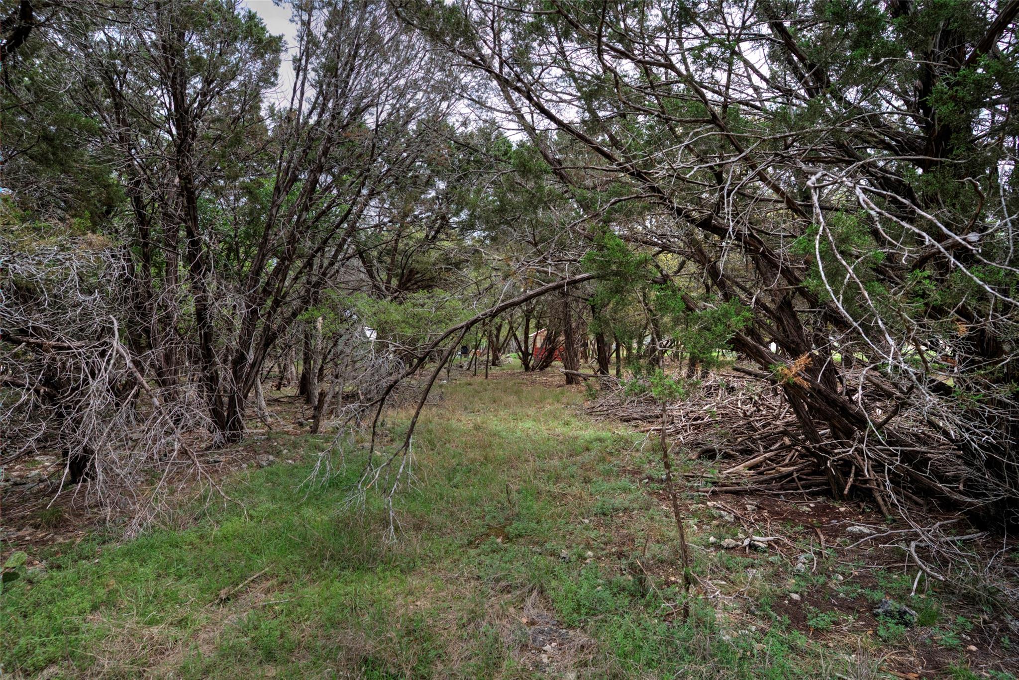 15920 Charlya Dr Property Photo 4