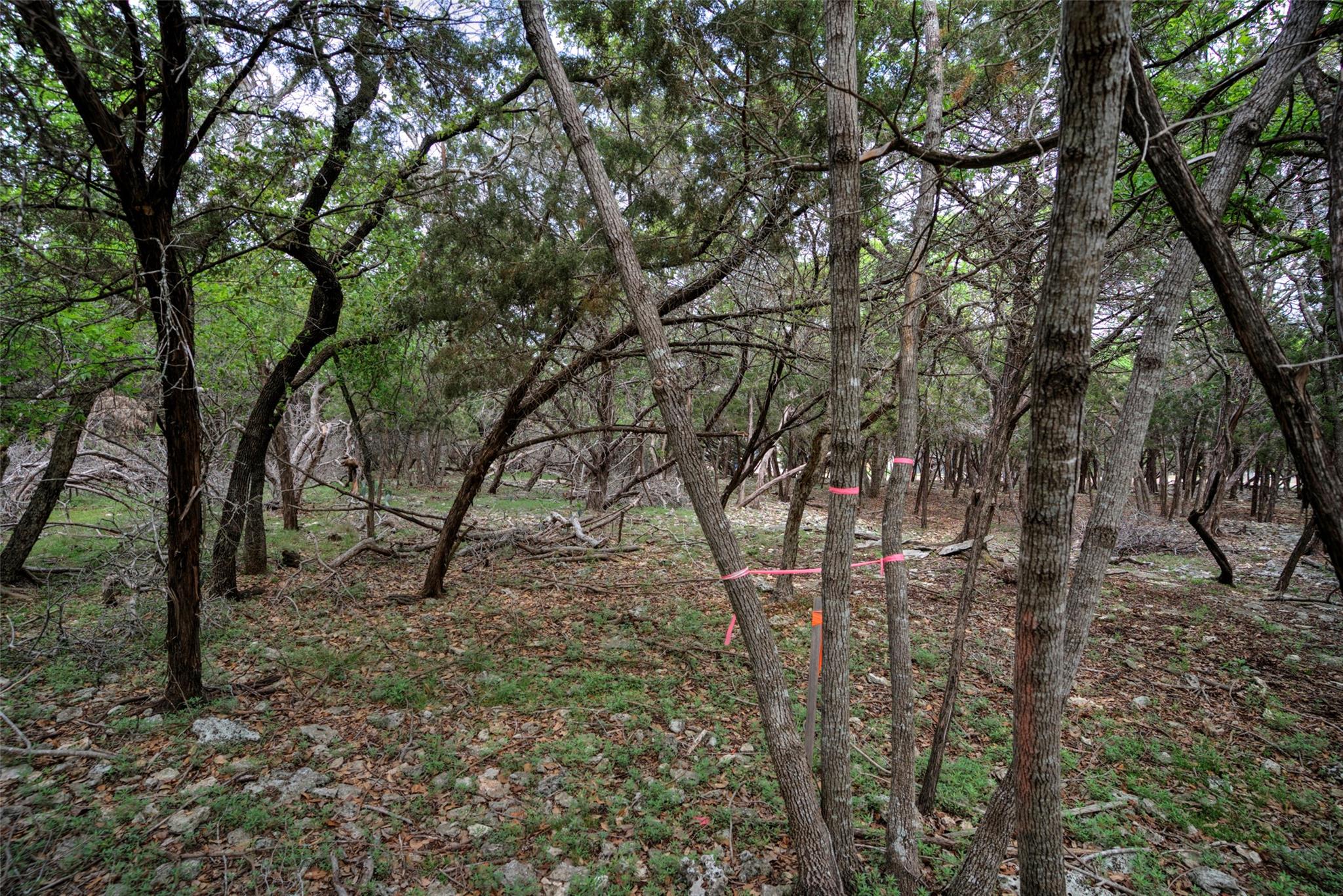 15920 Charlya Dr Property Photo 7