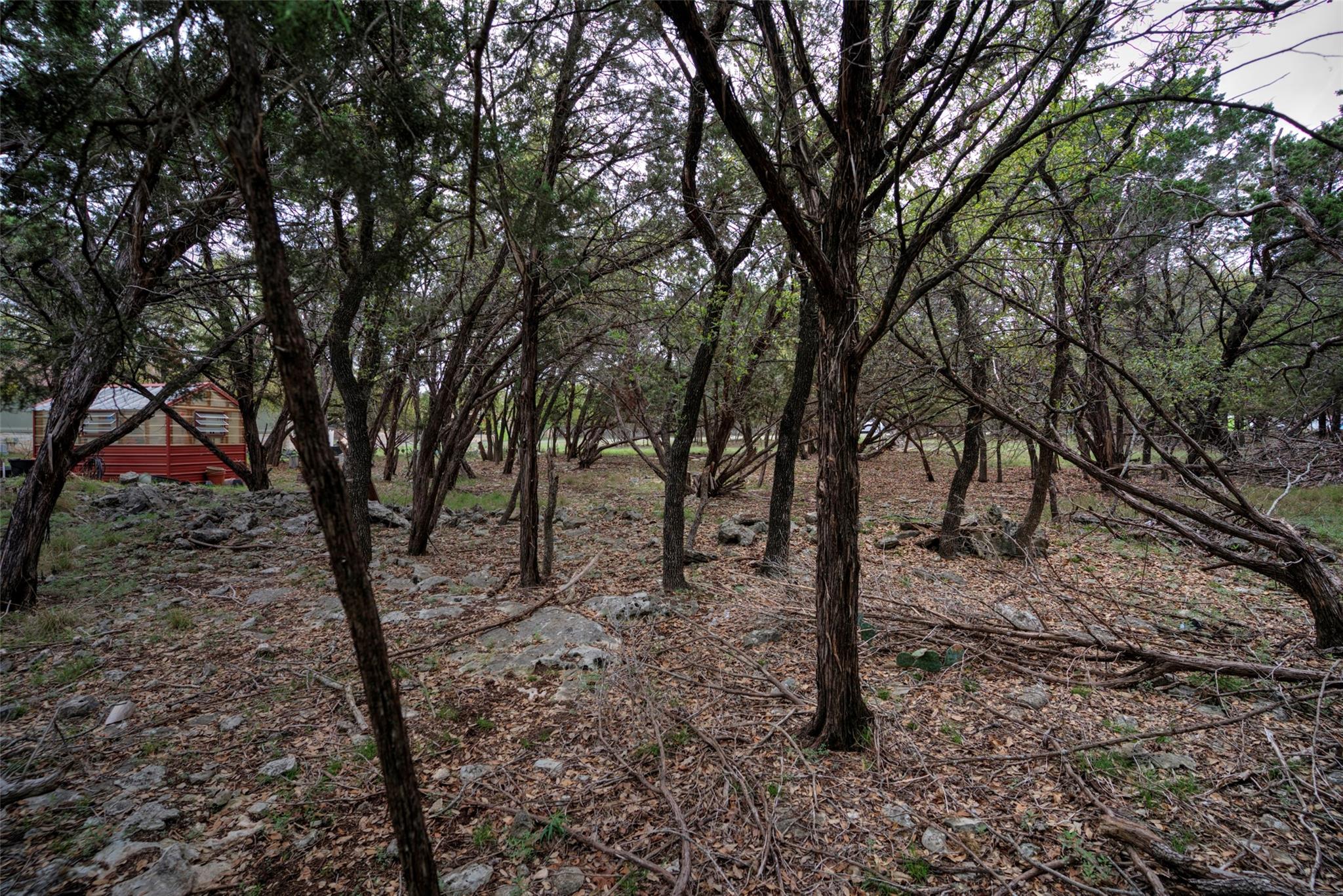 15920 Charlya Dr Property Photo 10