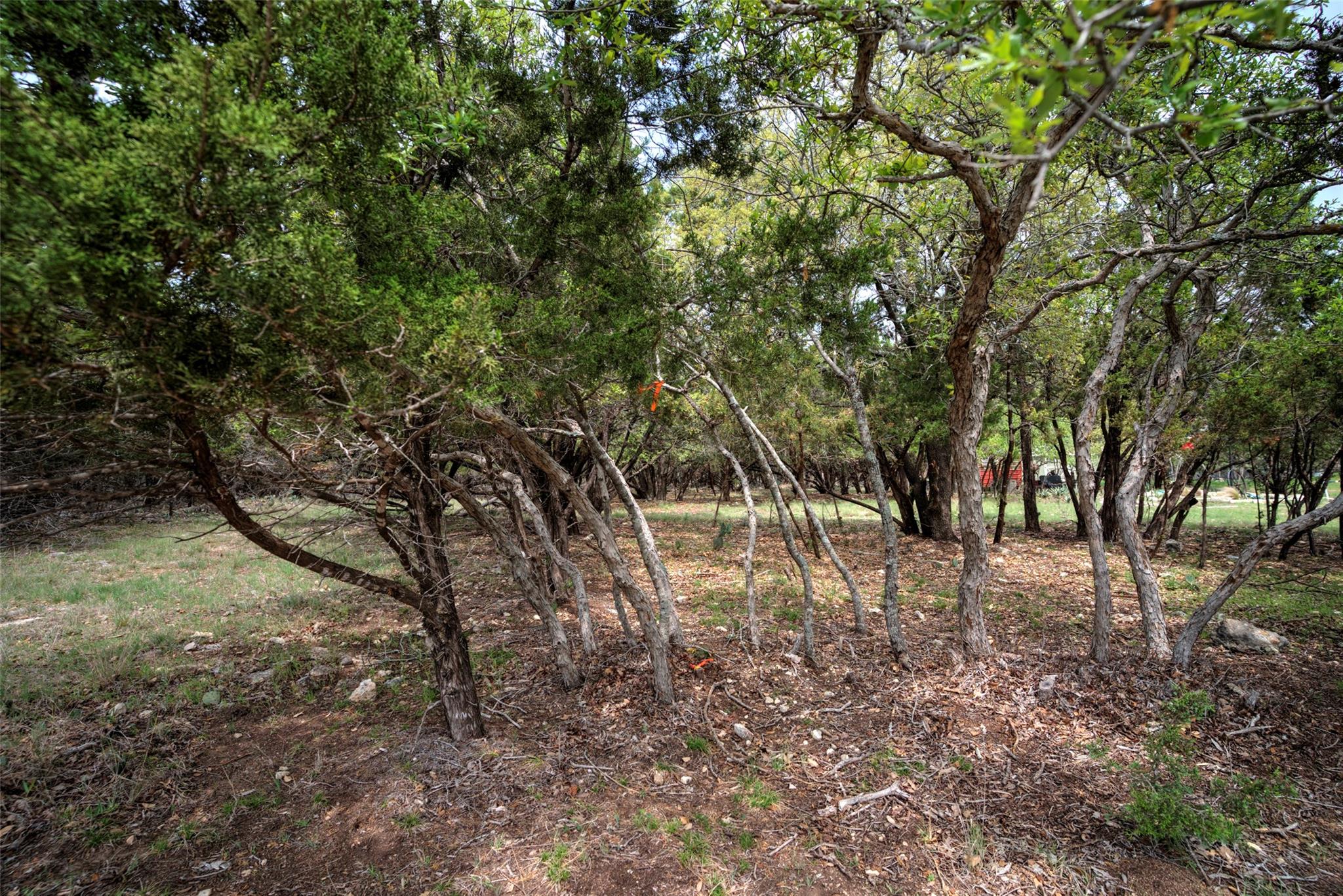 15920 Charlya Dr Property Photo 12