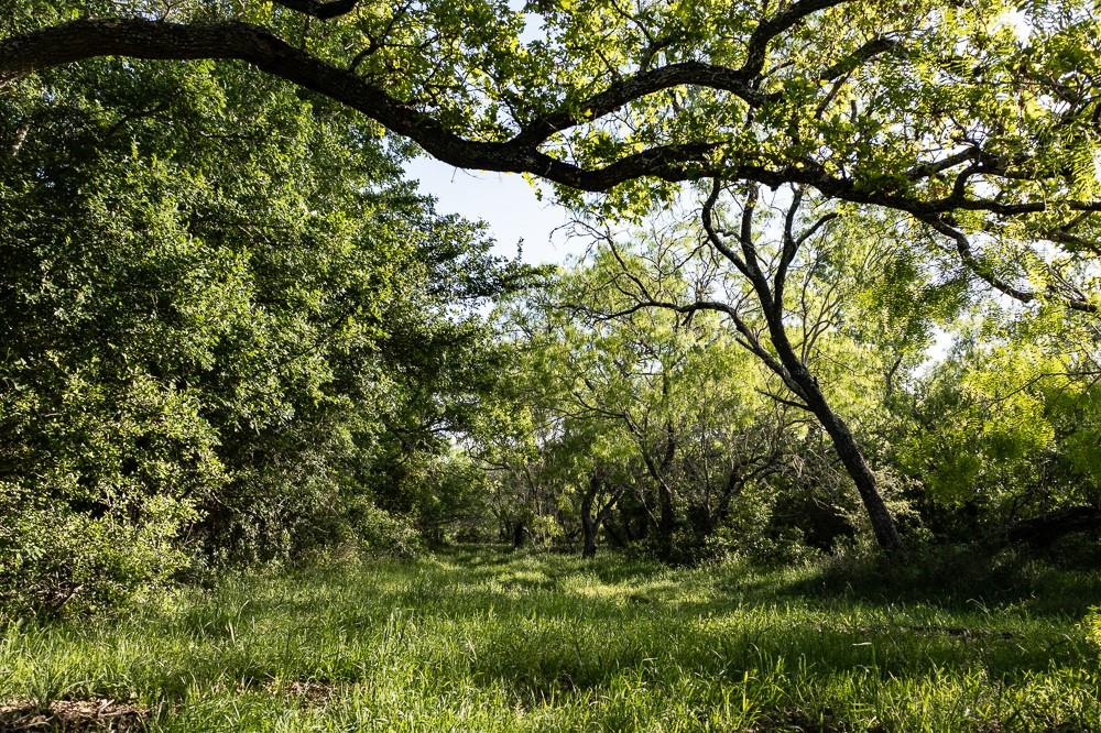 Tbd Anchor Ranch Lp Loop Property Photo 14