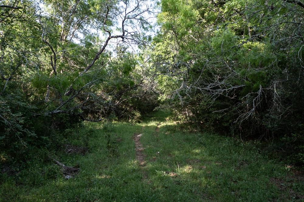 Tbd Anchor Ranch Lp Loop Property Photo 15