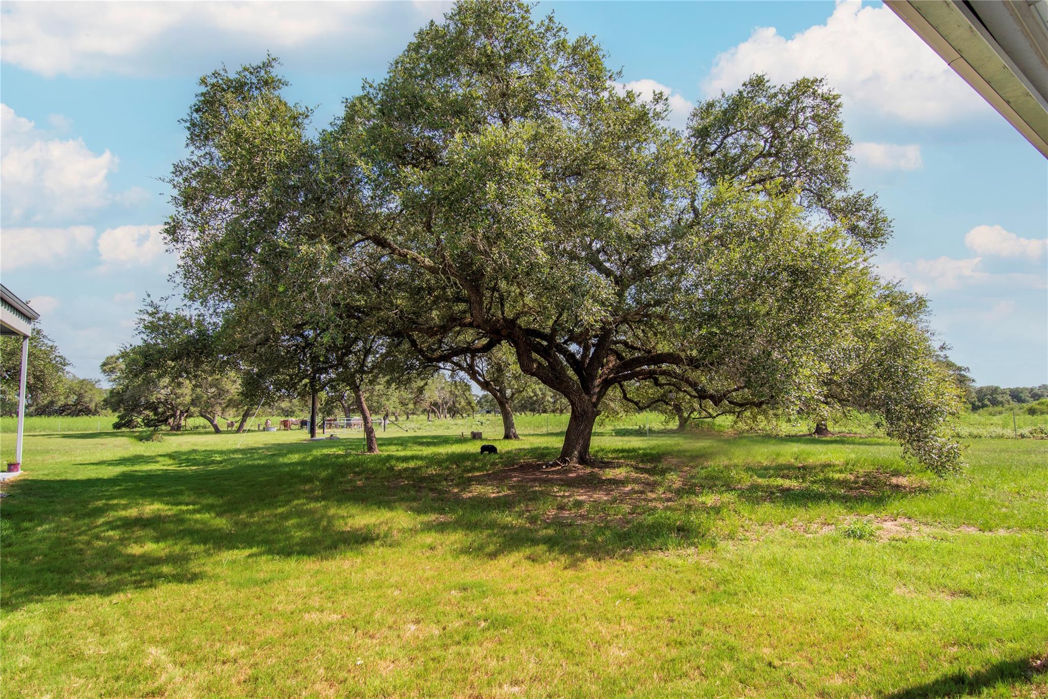 15545 Tx-111 None E Property Photo 9