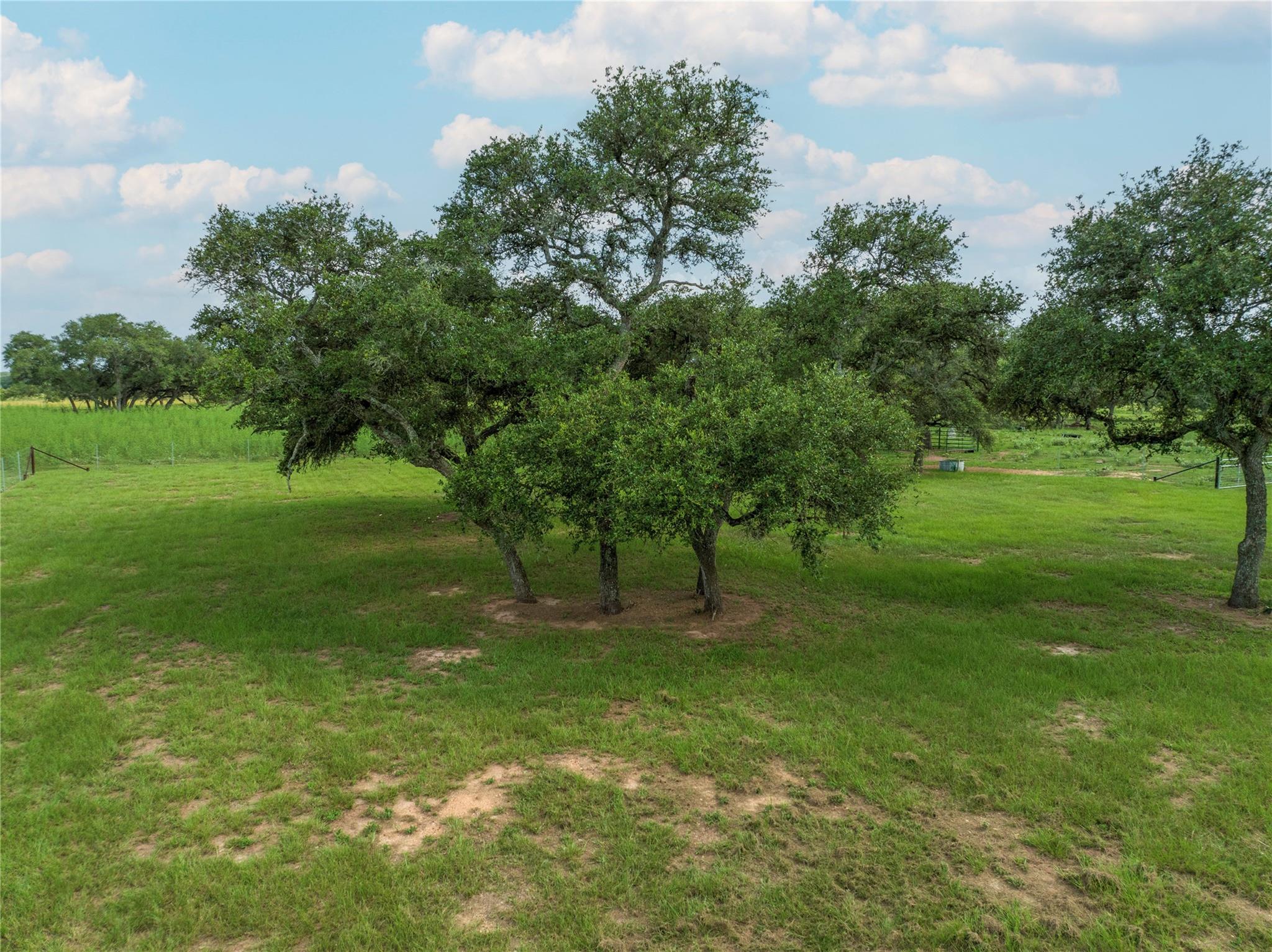 15545 Tx-111 None E Property Photo 10