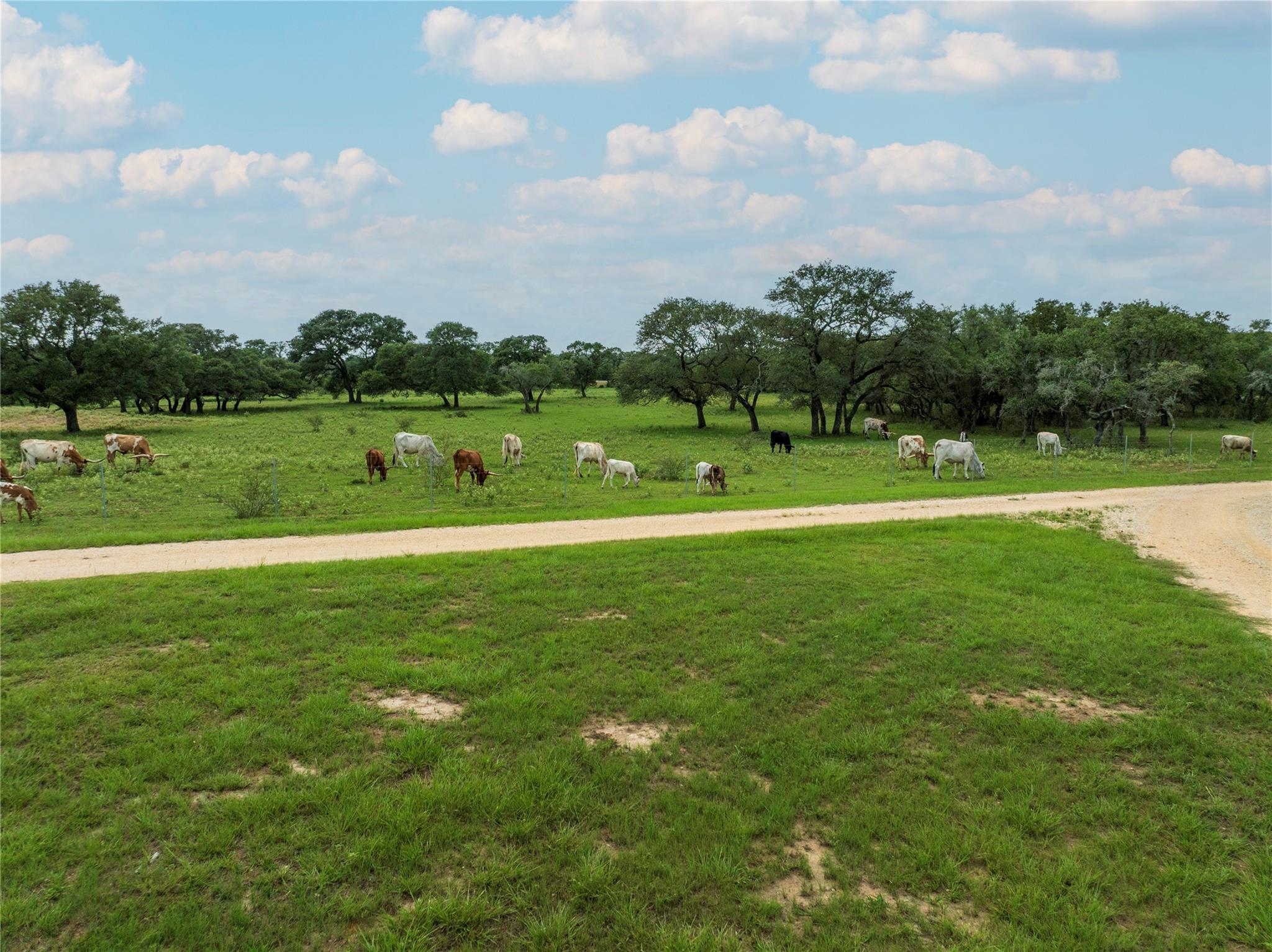 15545 Tx-111 None E Property Photo 11