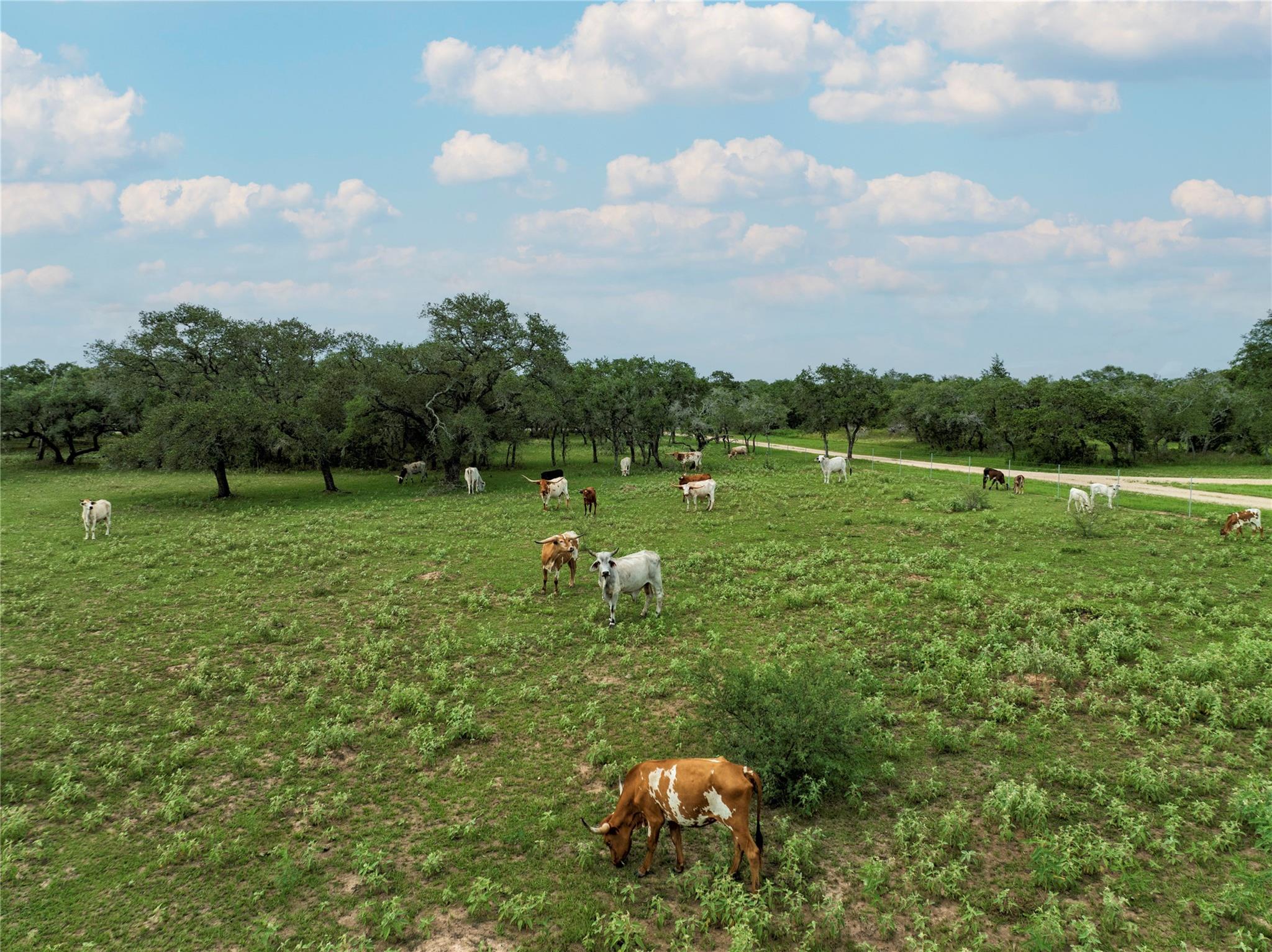 15545 Tx-111 None E Property Photo 12