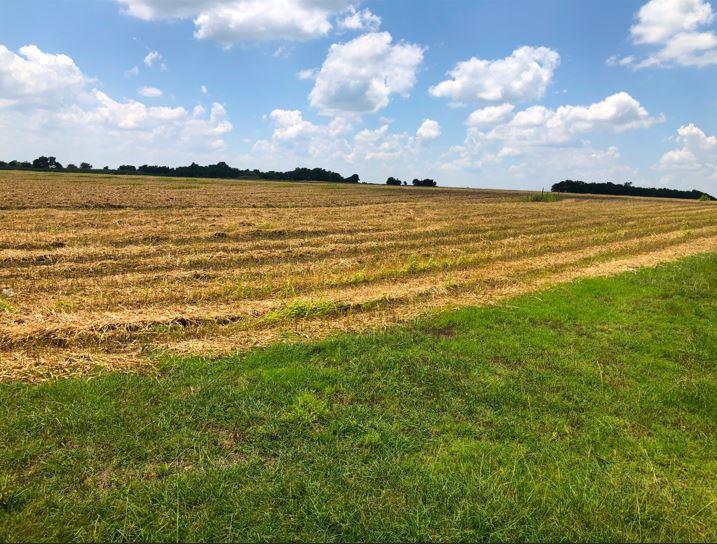 Tbd Cr 421, Thrall Tx 765 County Road 421 Property Photo