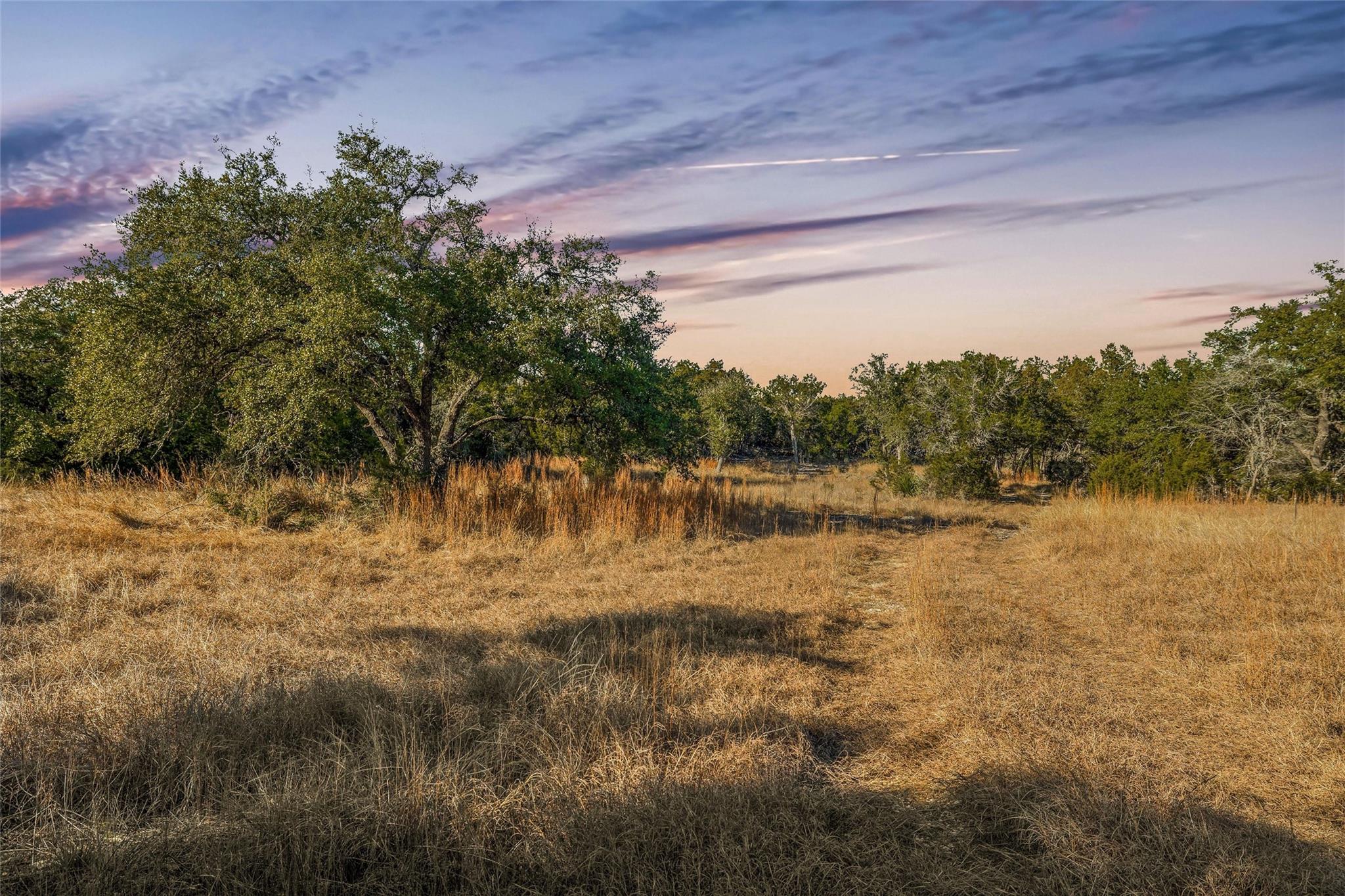 10107 Davy Crockett Dr Property Photo 4