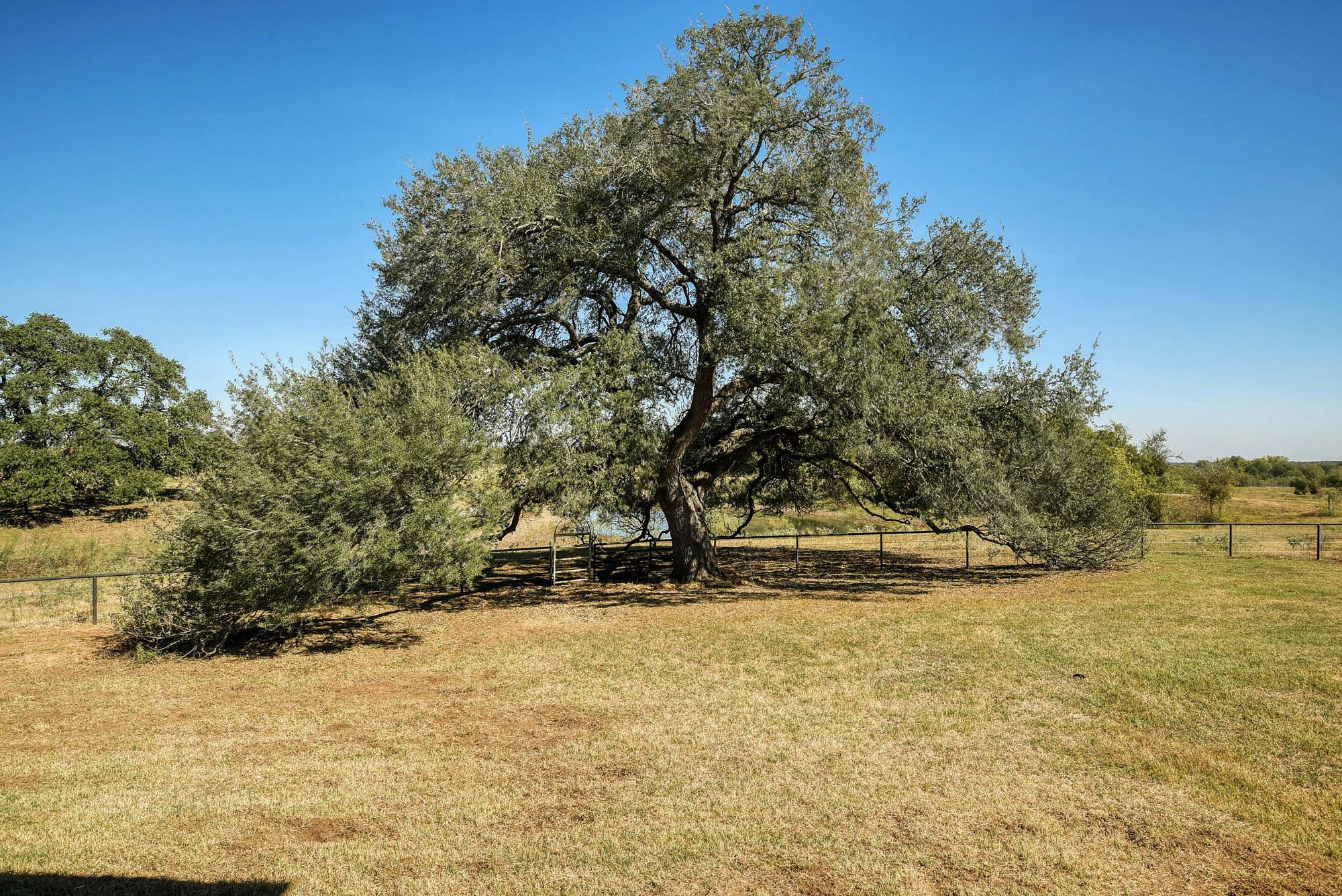 603 Watterson Rd #b And C Property Photo 36