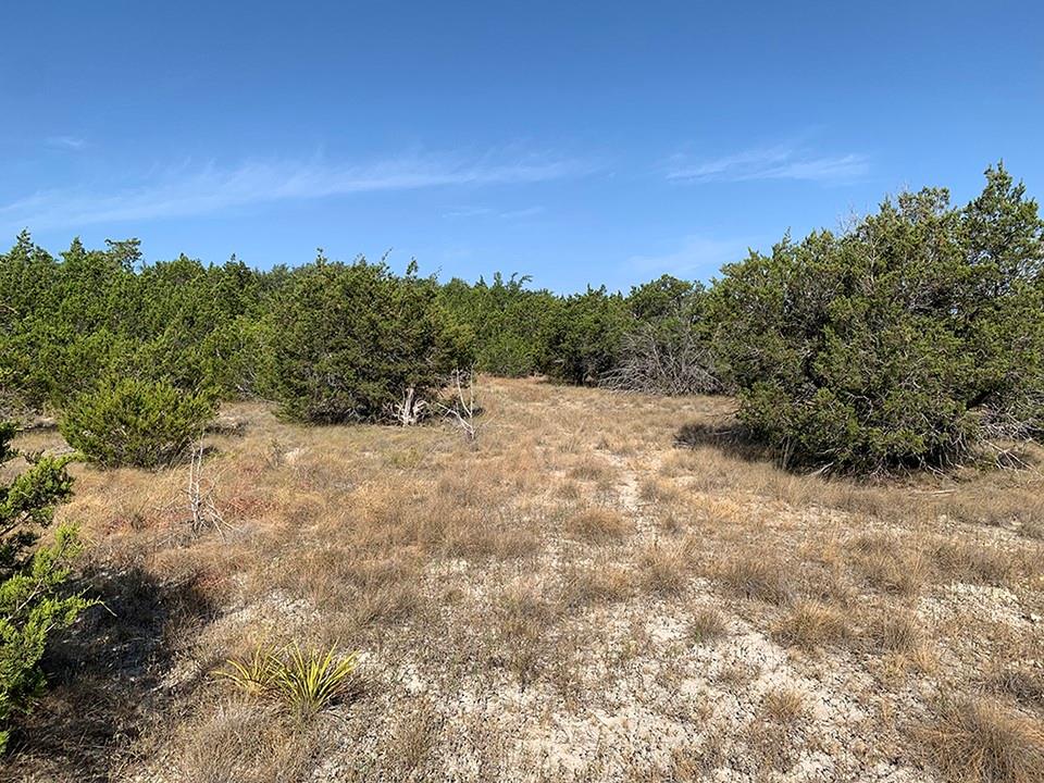 0 Westward Look None Property Photo 4